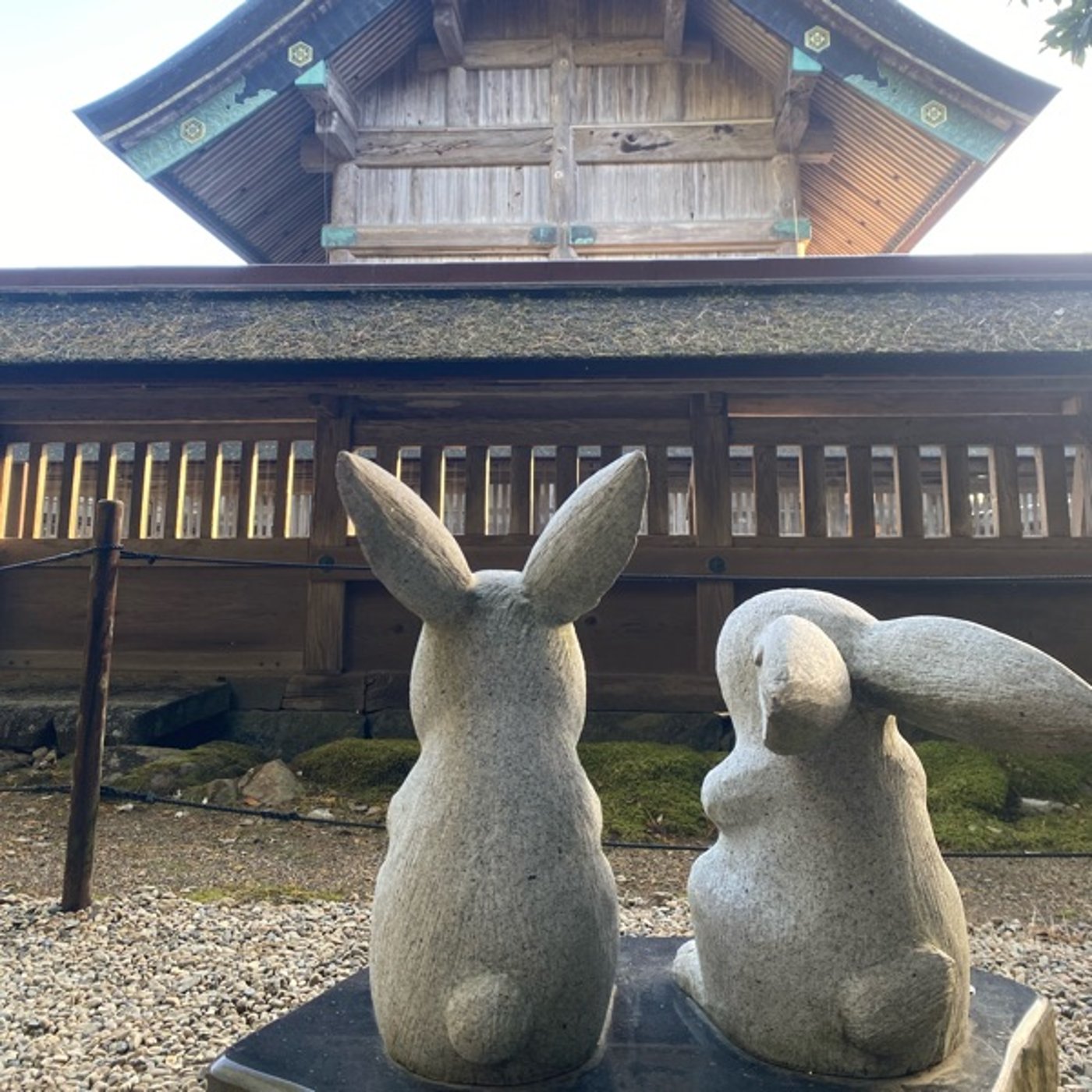 「無」1月25日の神様からのメッセージ