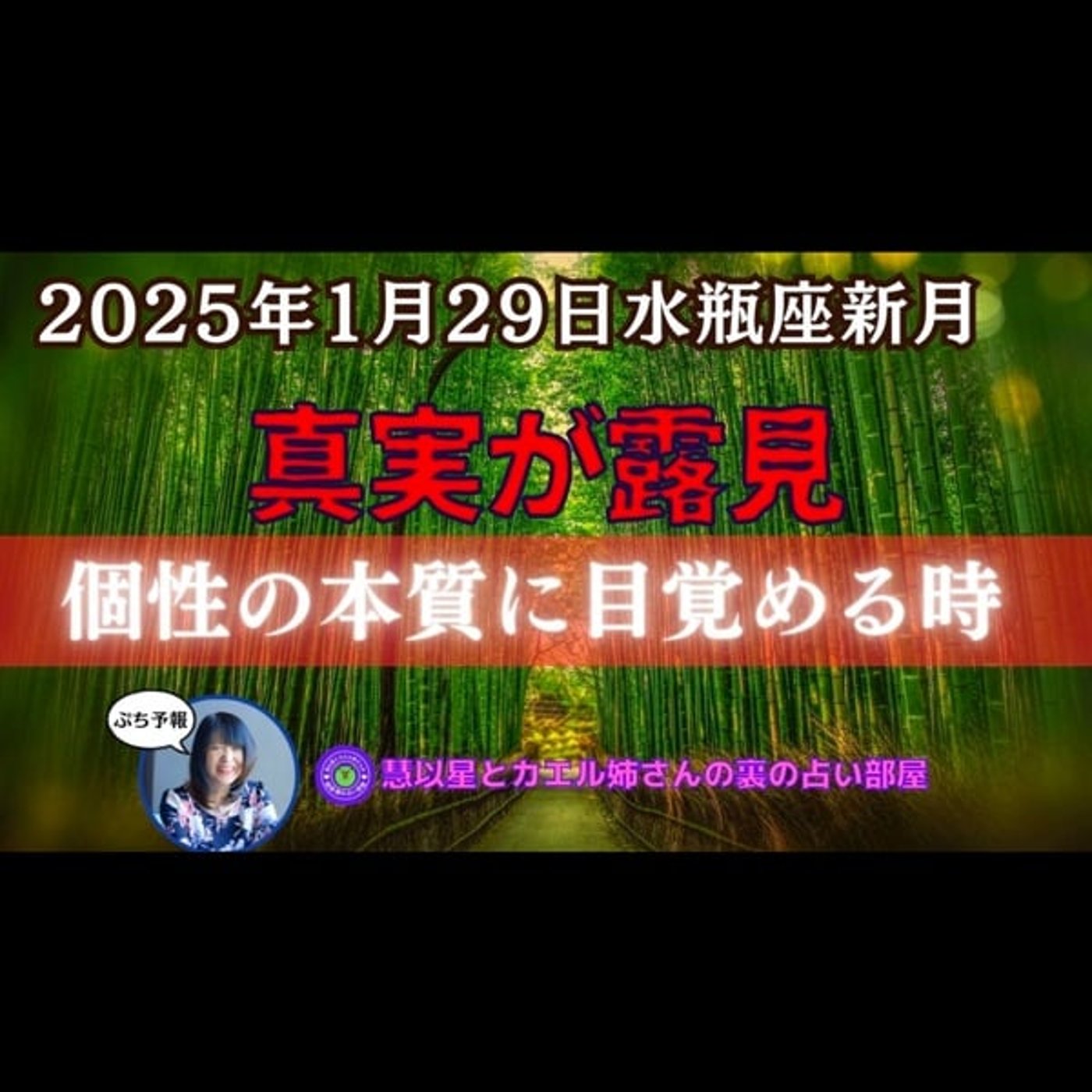 【目覚めの新月🌑】25年1/29水瓶座新月🌕真実を知り自分の本質や個性に目覚めよ