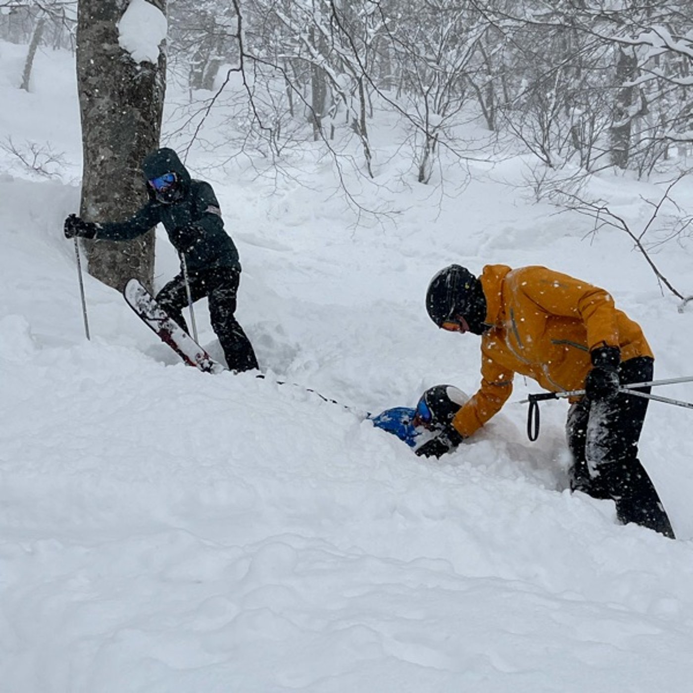 #0959 パウダー天国日本のポテンシャルを引き出す