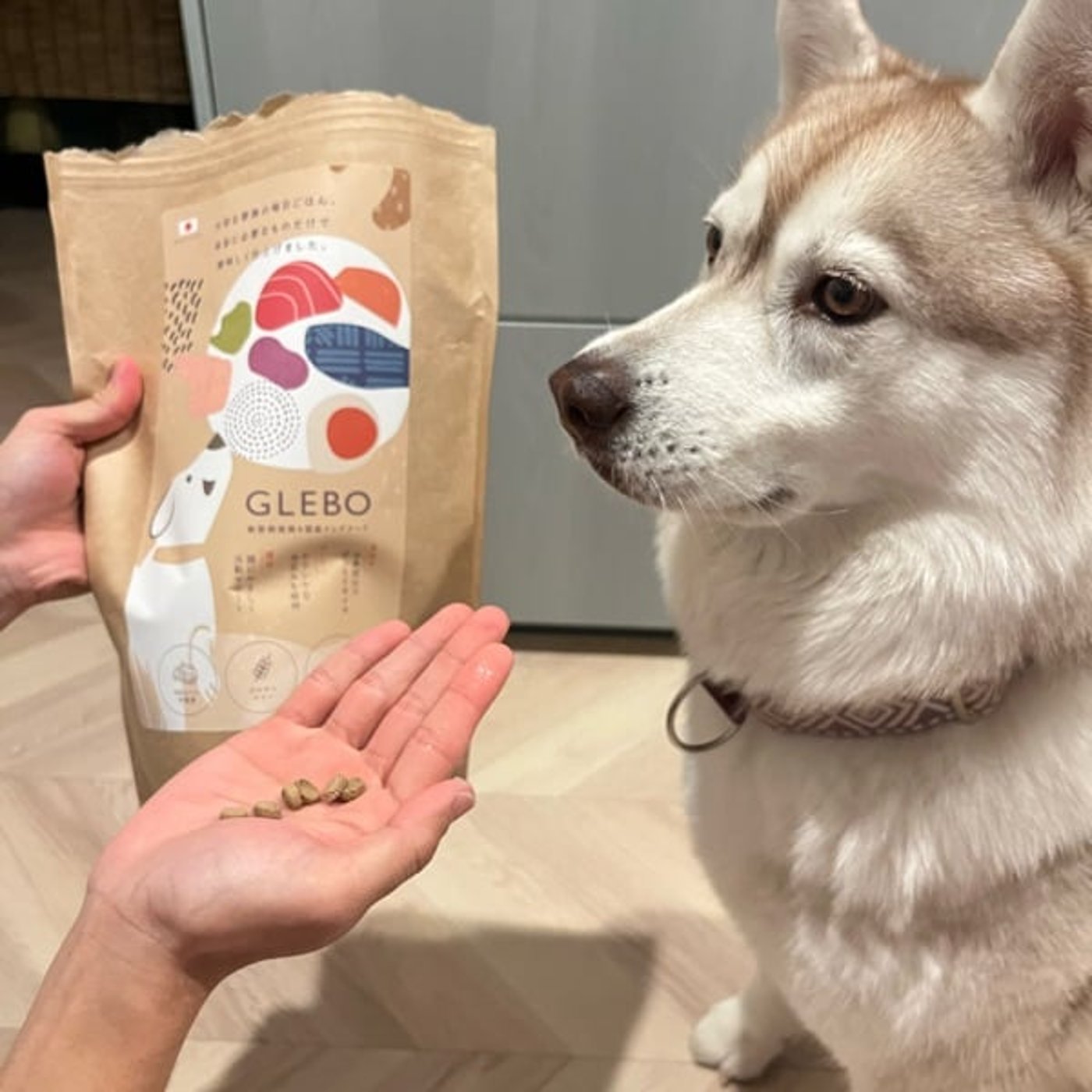 祝㊗️TBSのアニマリングに出演！SNSの凄さを改めて実感した日