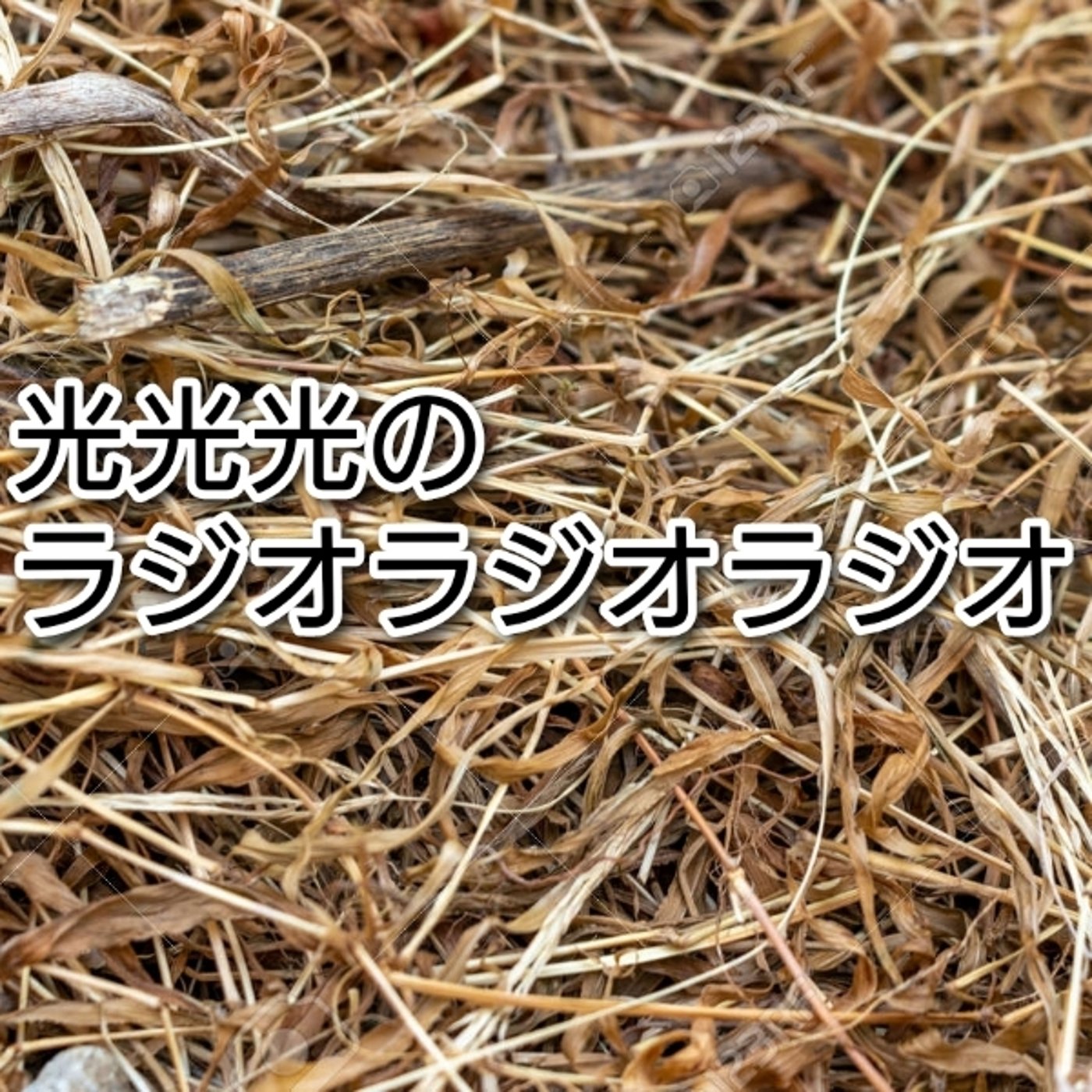 #145【謝】声がまともに出ないのでゲスト回は延期となりました episode artwork