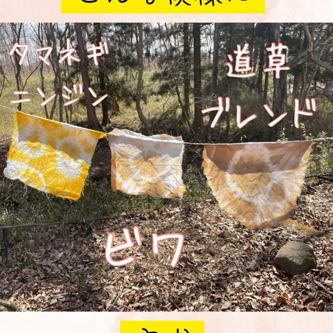 22🌱キャンプ場の落ち葉で染める！？アカネ染めと野生の実験！ episode artwork