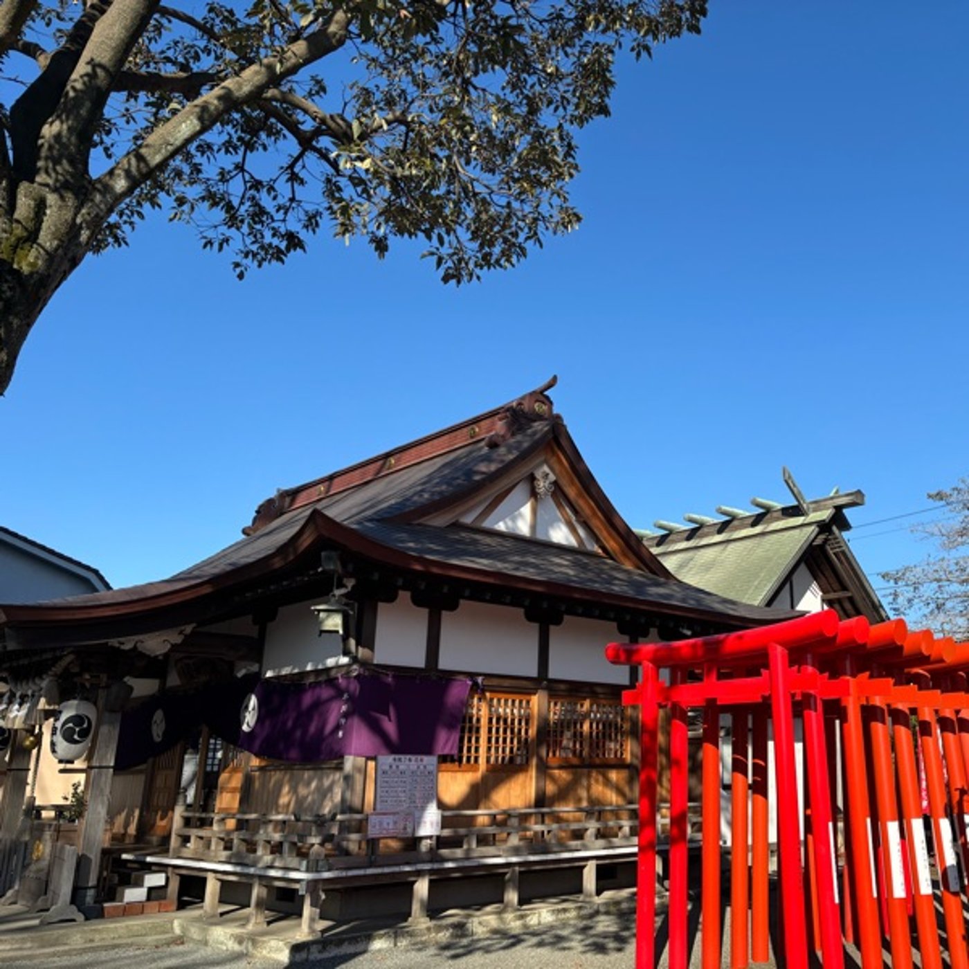「直」2月28日の神様からのメッセージ