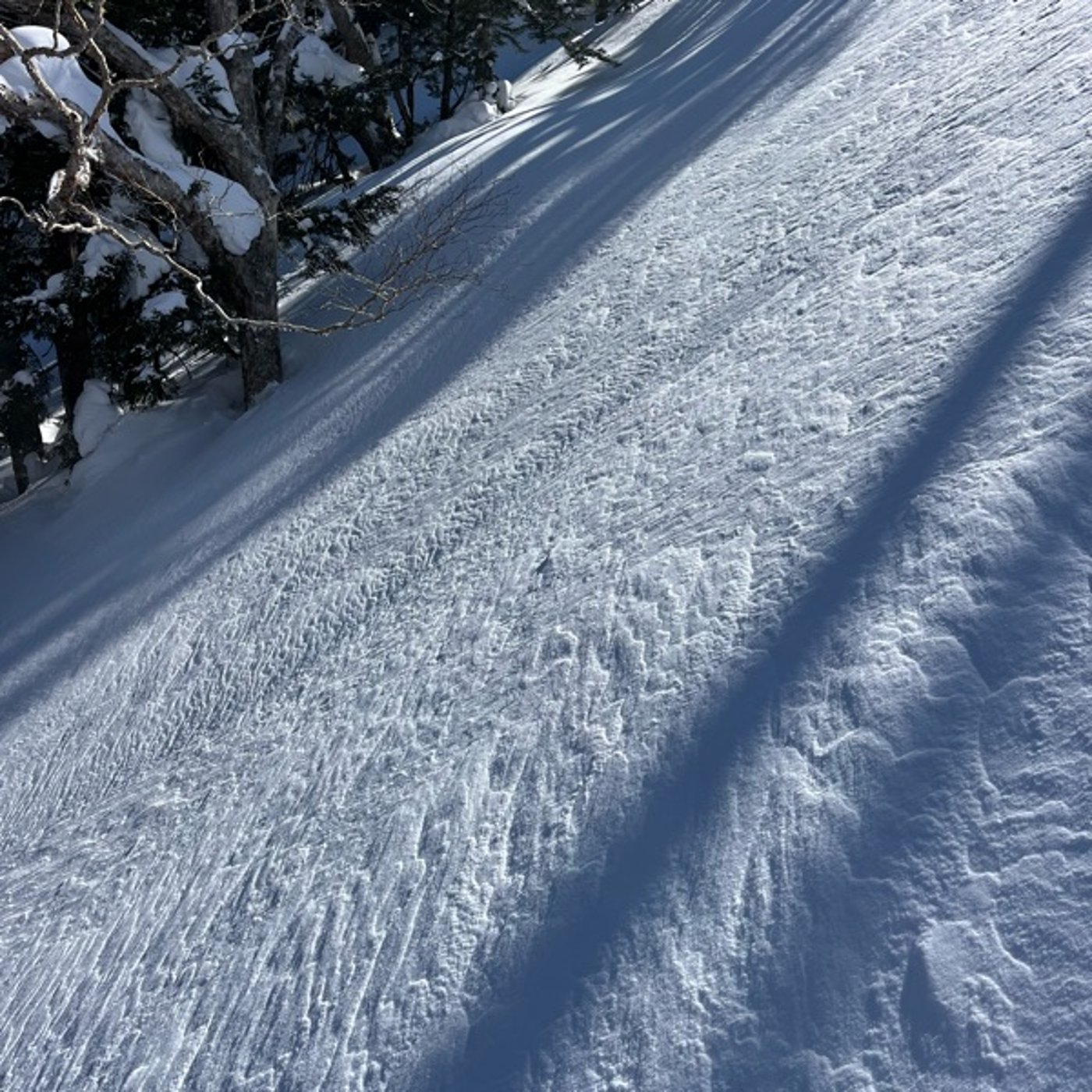 #0974 南岸低気圧にご注意を