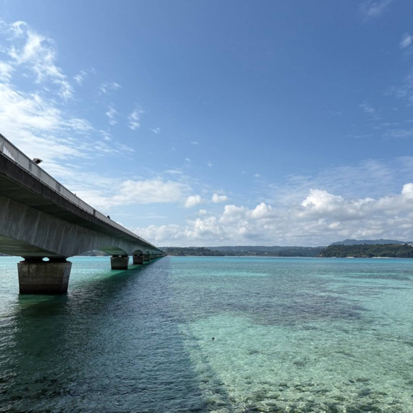 #529 朔日参りと沖縄旅行と食あたり