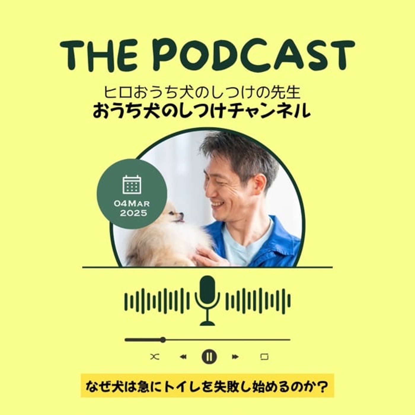なぜ犬は急にトイレを失敗し始めるのか？