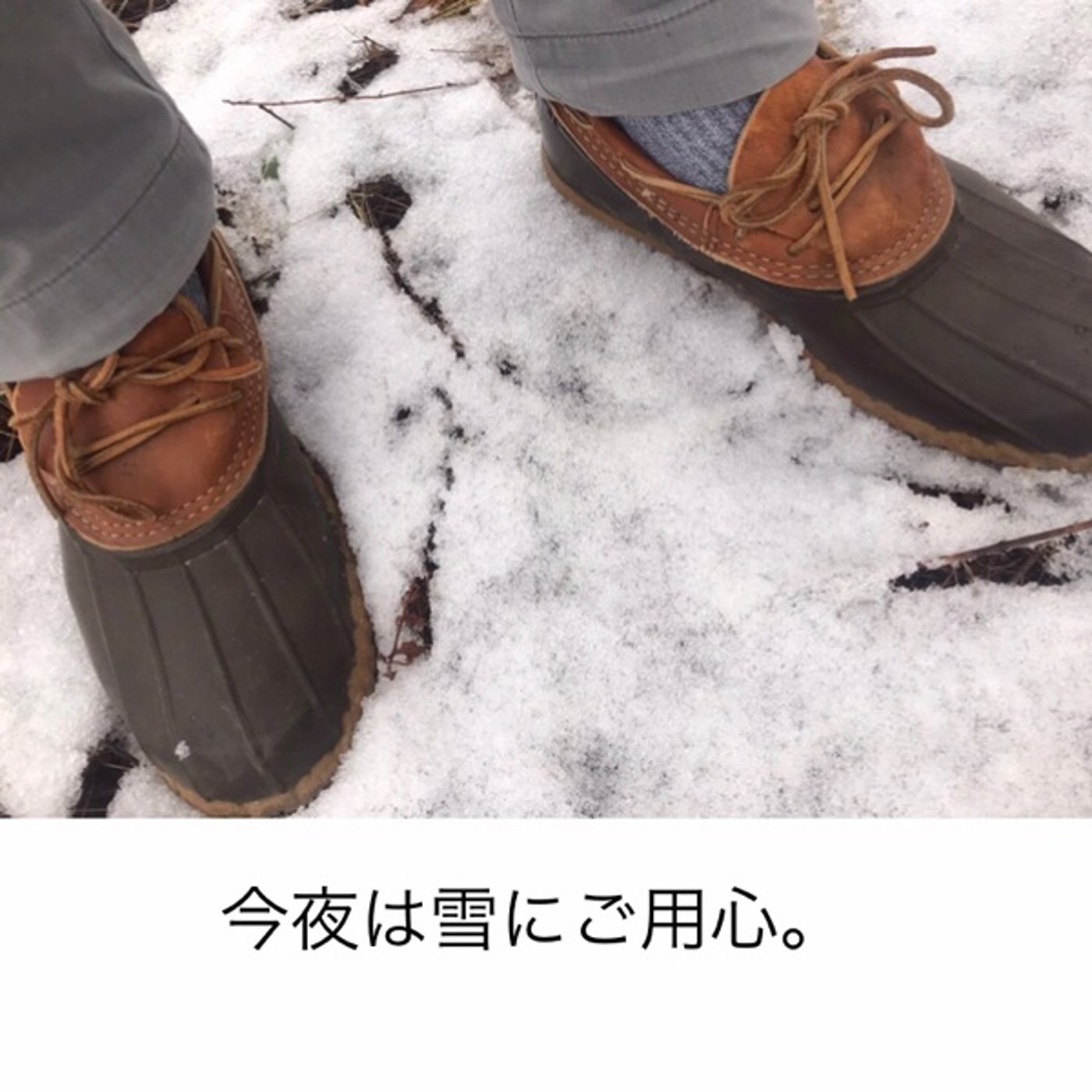 44【今夜は雪にご用心。】20250304 episode artwork