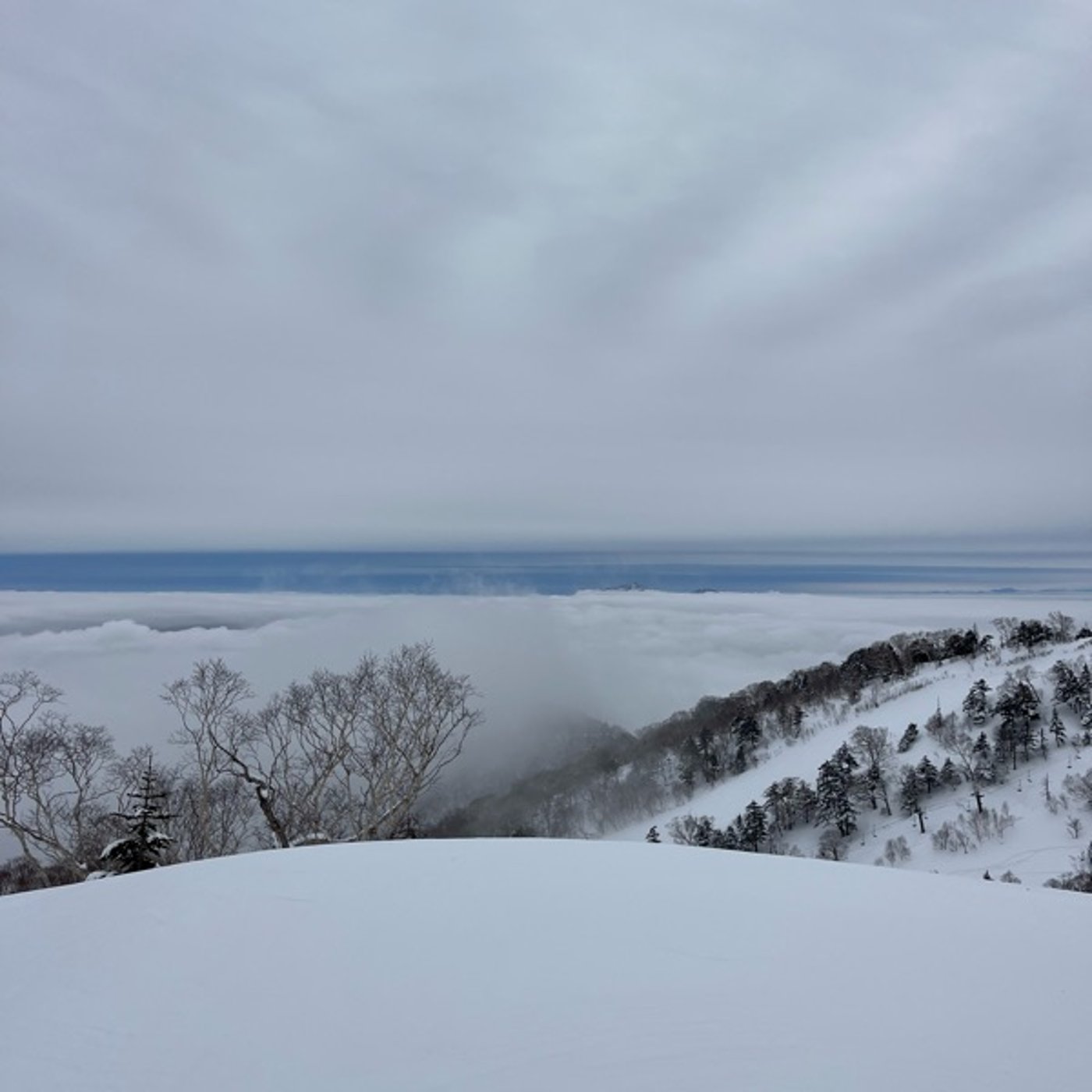 #0978 高崎の積雪にワクワクした話