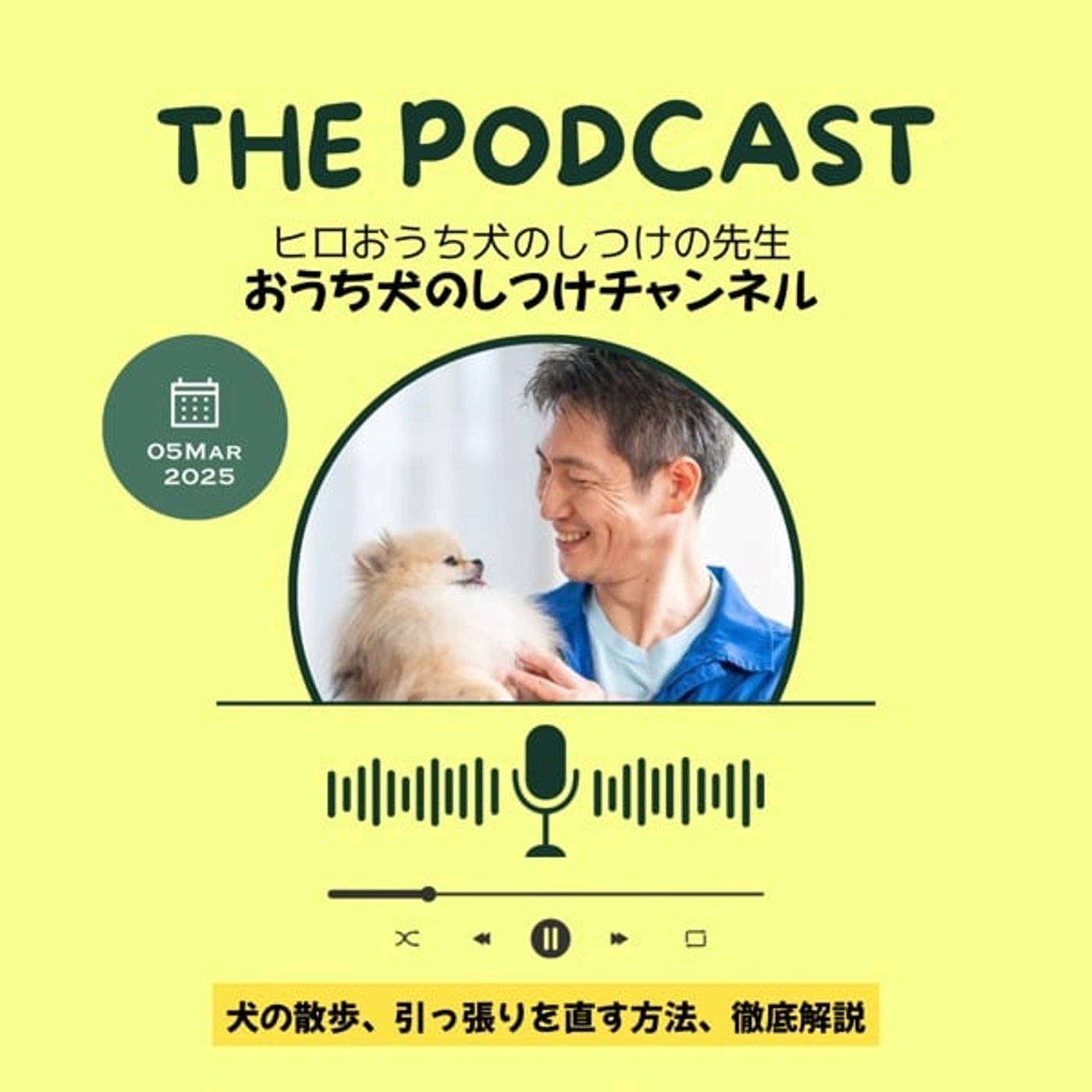 犬の散歩、引っ張りを直す方法、徹底解説