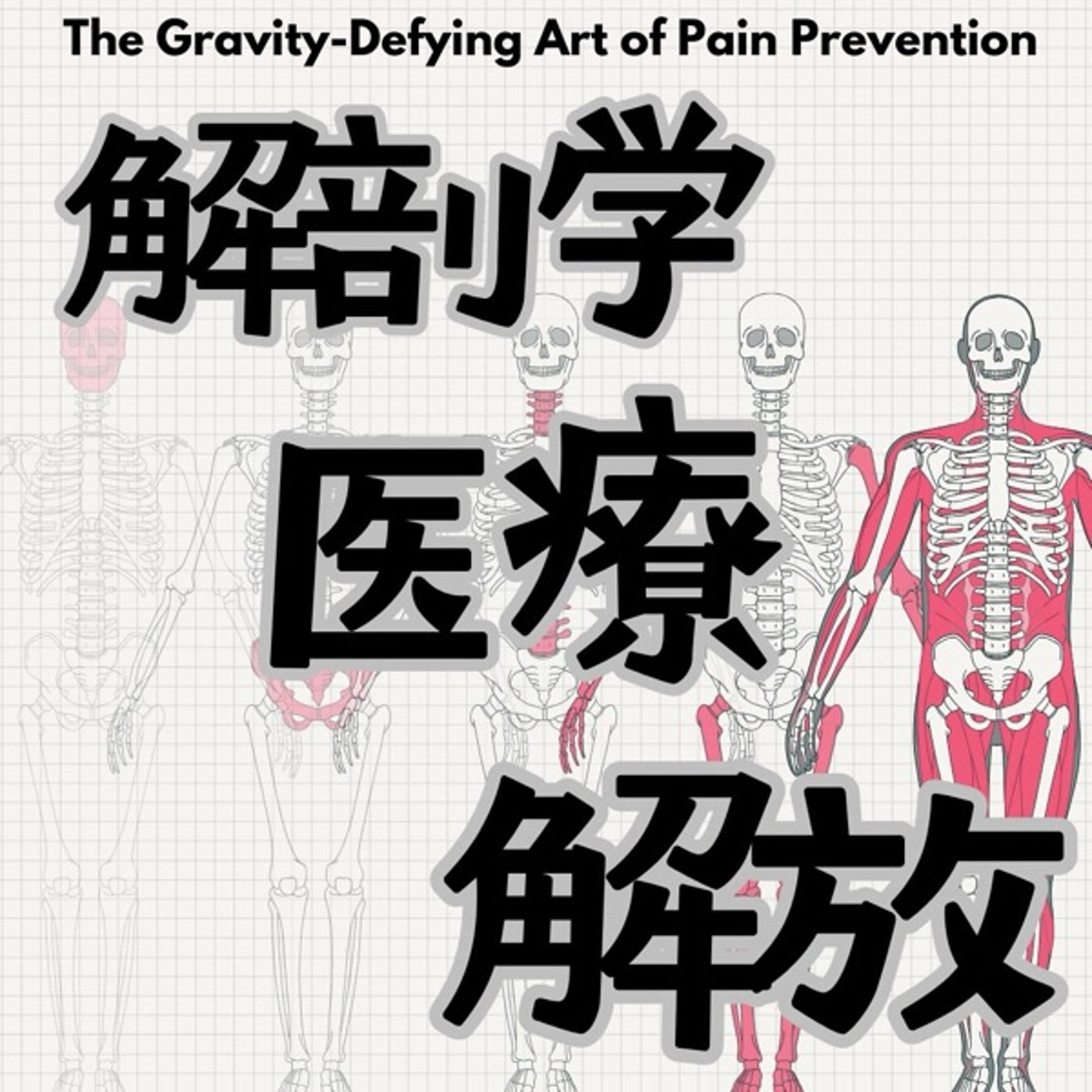 解剖学とは？：日本の医療システムからの解放 episode artwork