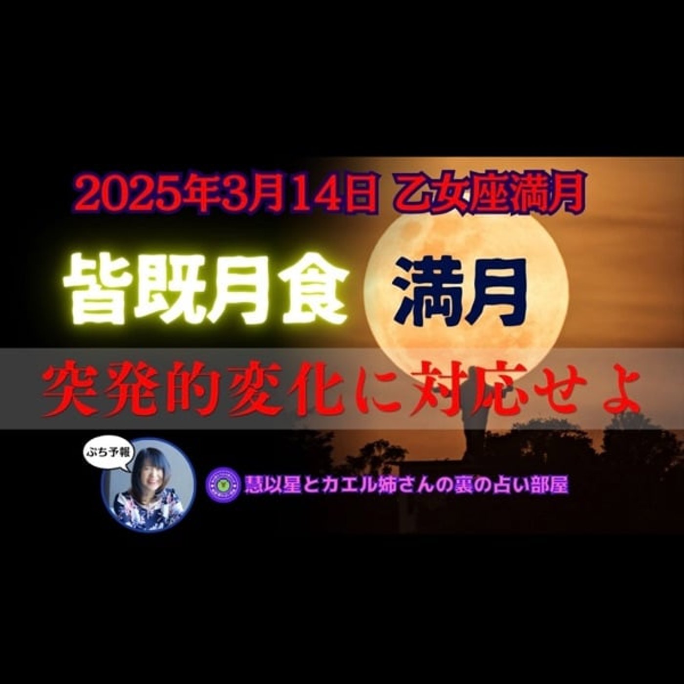 【皆既月食🌔調停の三角形🔼】25年3/14乙女座♍満月🌕突発的な変化に対応✊