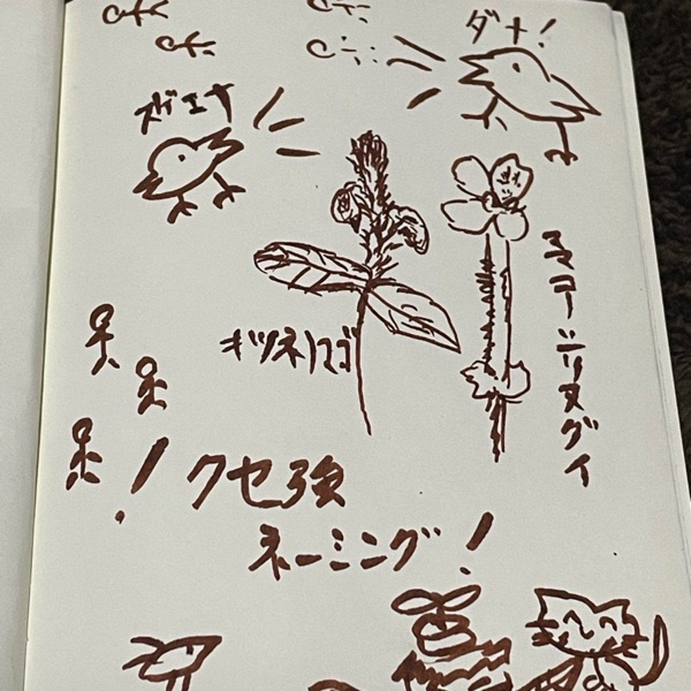 33🌱キツネの孫！？継子の尻拭い！？名前がクセ強植物 episode artwork