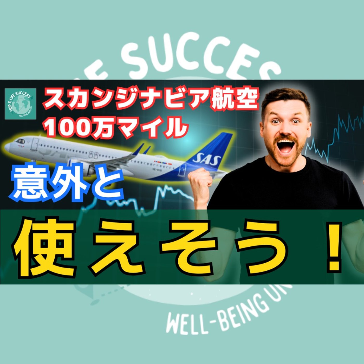 【意外と使える⁉︎】SAS 100万マイル のオトクな 使い方 を解説！ episode artwork