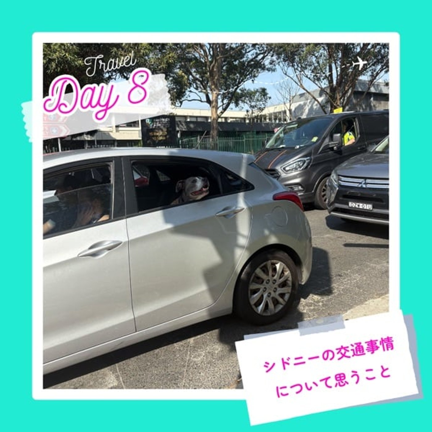 子連れMBA留学日記 in シドニー
