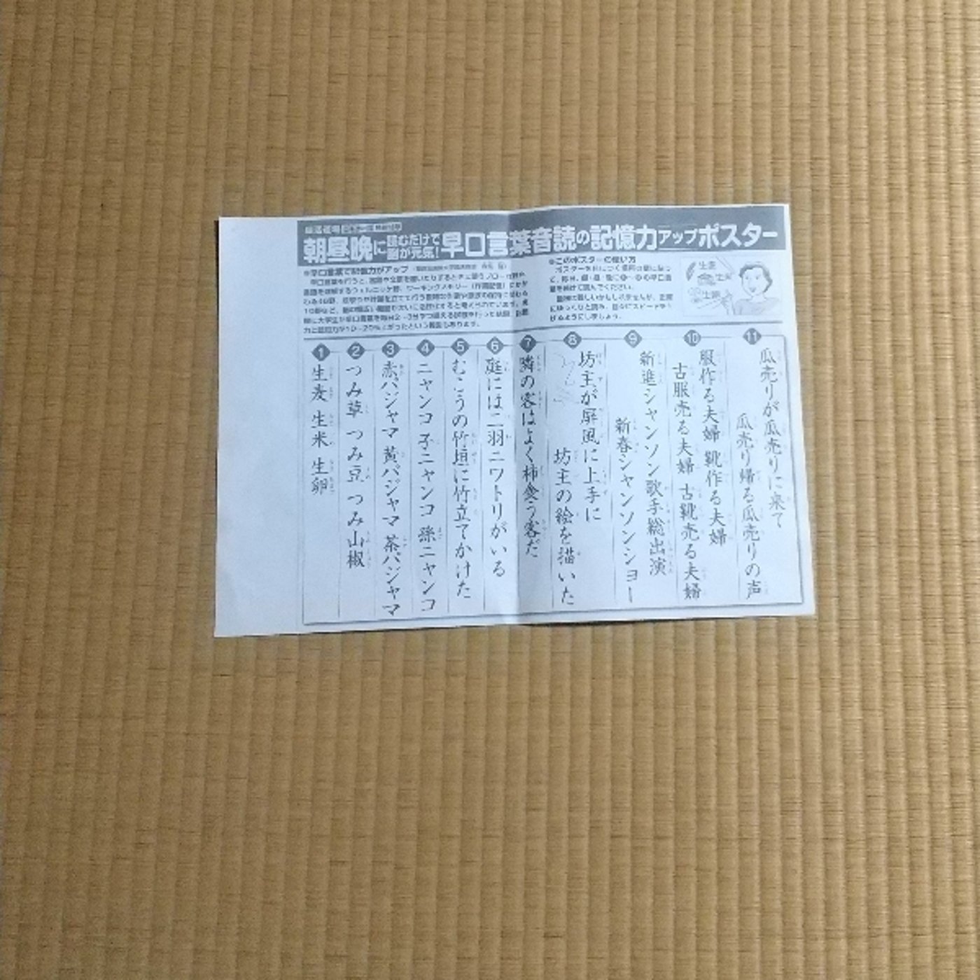 老化予防250316 episode artwork
