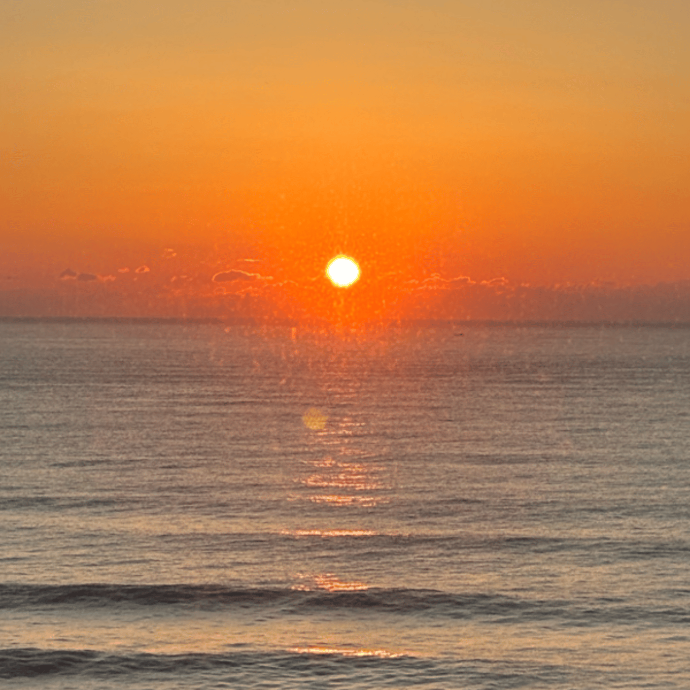 ちゃんと報告Live（後半の雑談は聞かなくて大丈夫です）