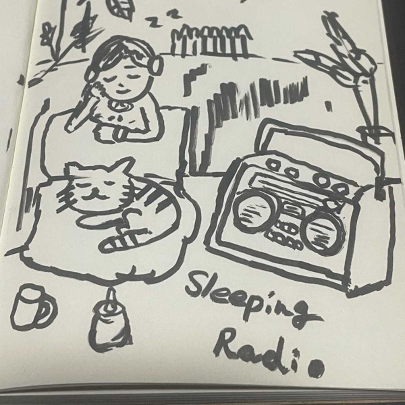 41🌱眠れる夜に、サザンな記憶 episode artwork