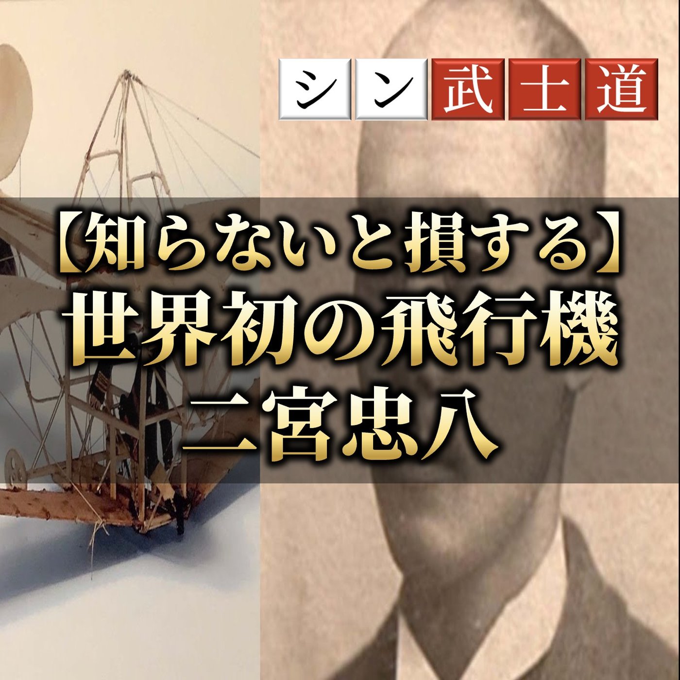 【知らないと損する】ライト兄弟より前に飛行機の原理を発明した二宮忠八