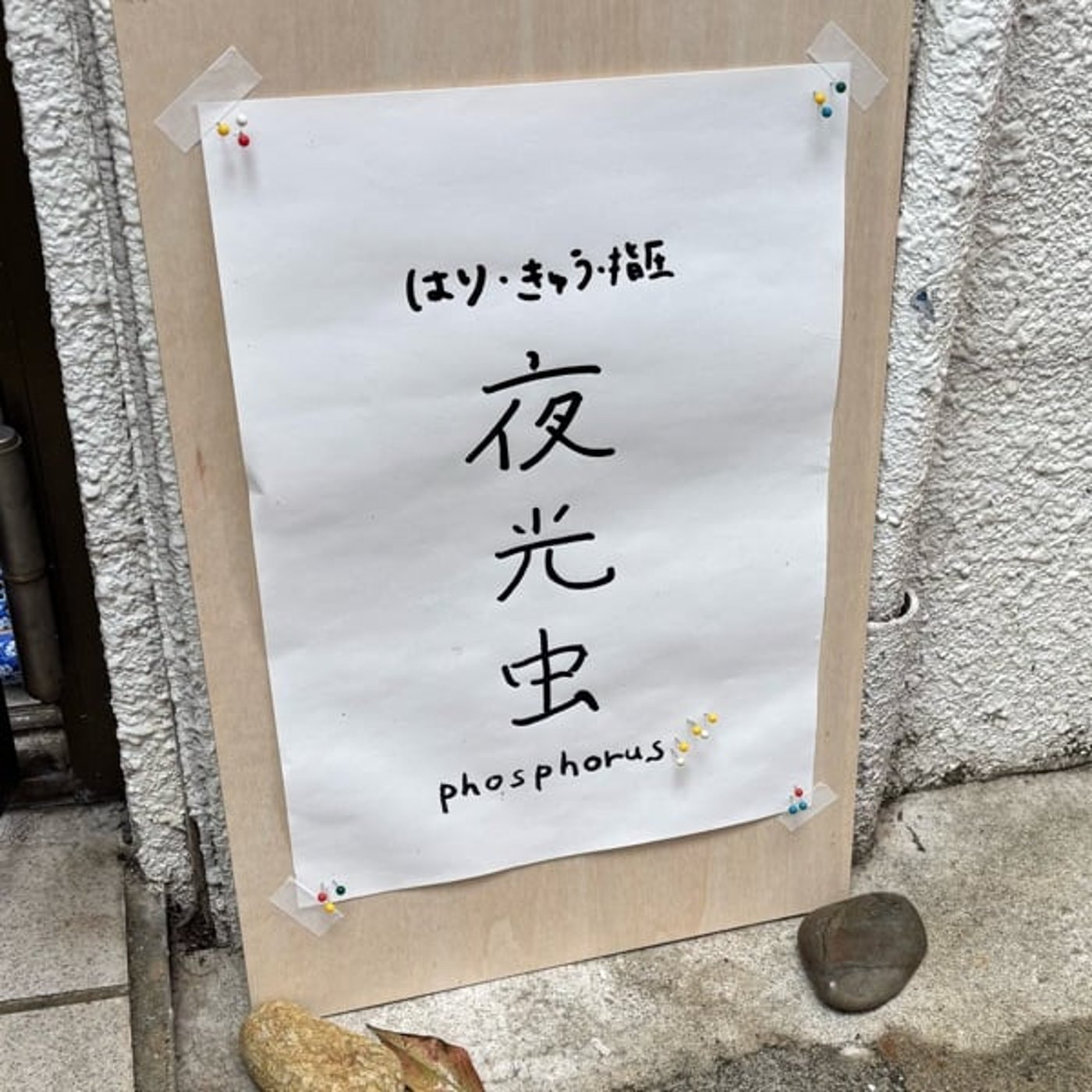 【夜光虫phosphorusより】