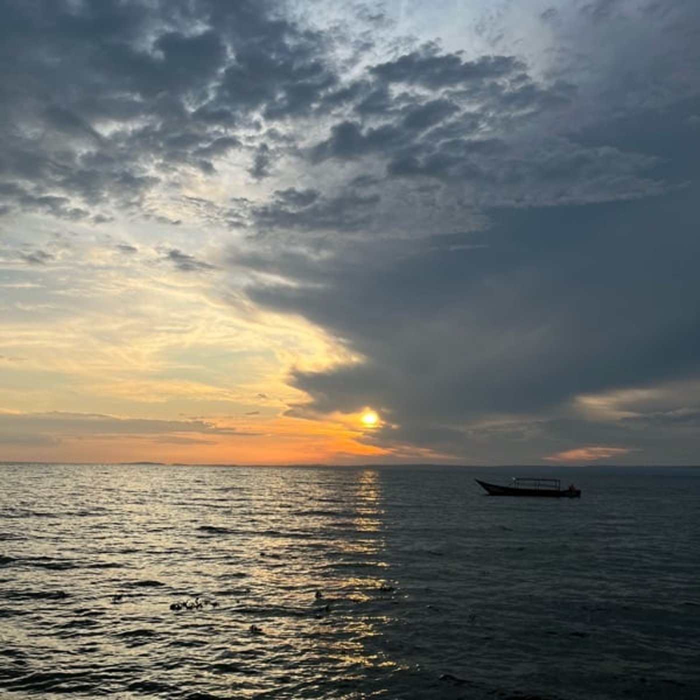 これからどうしていこう