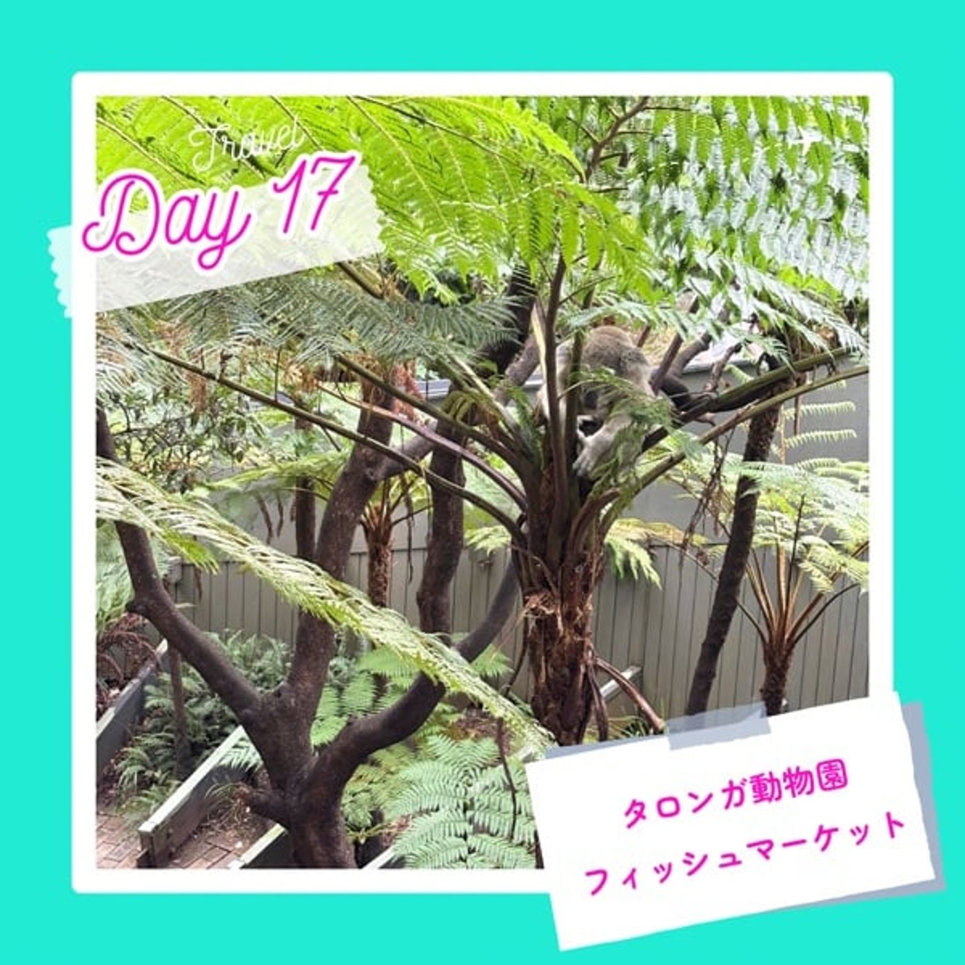 子連れMBA留学日記 in シドニー