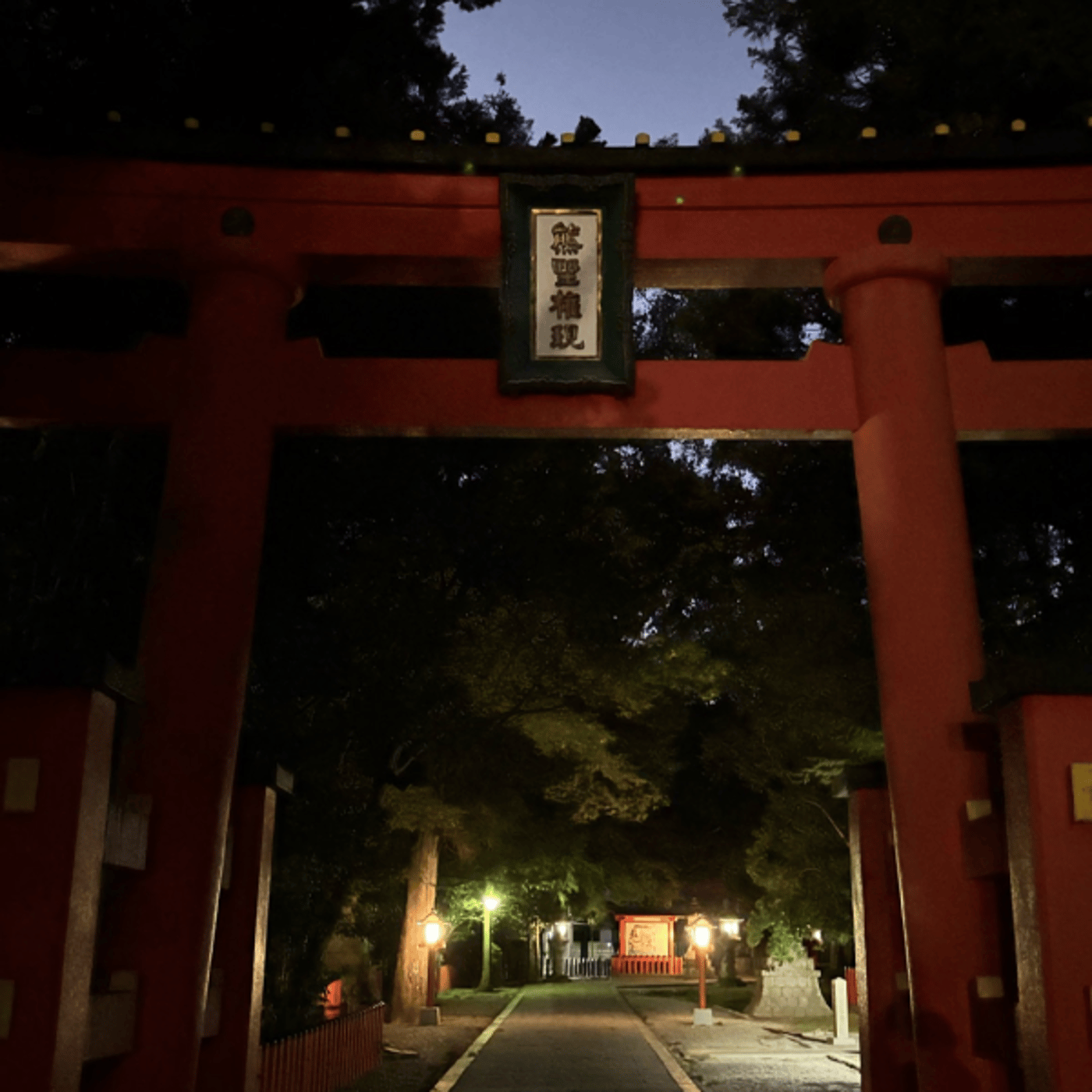 今年もお世話になりました「行く年来る年Live」