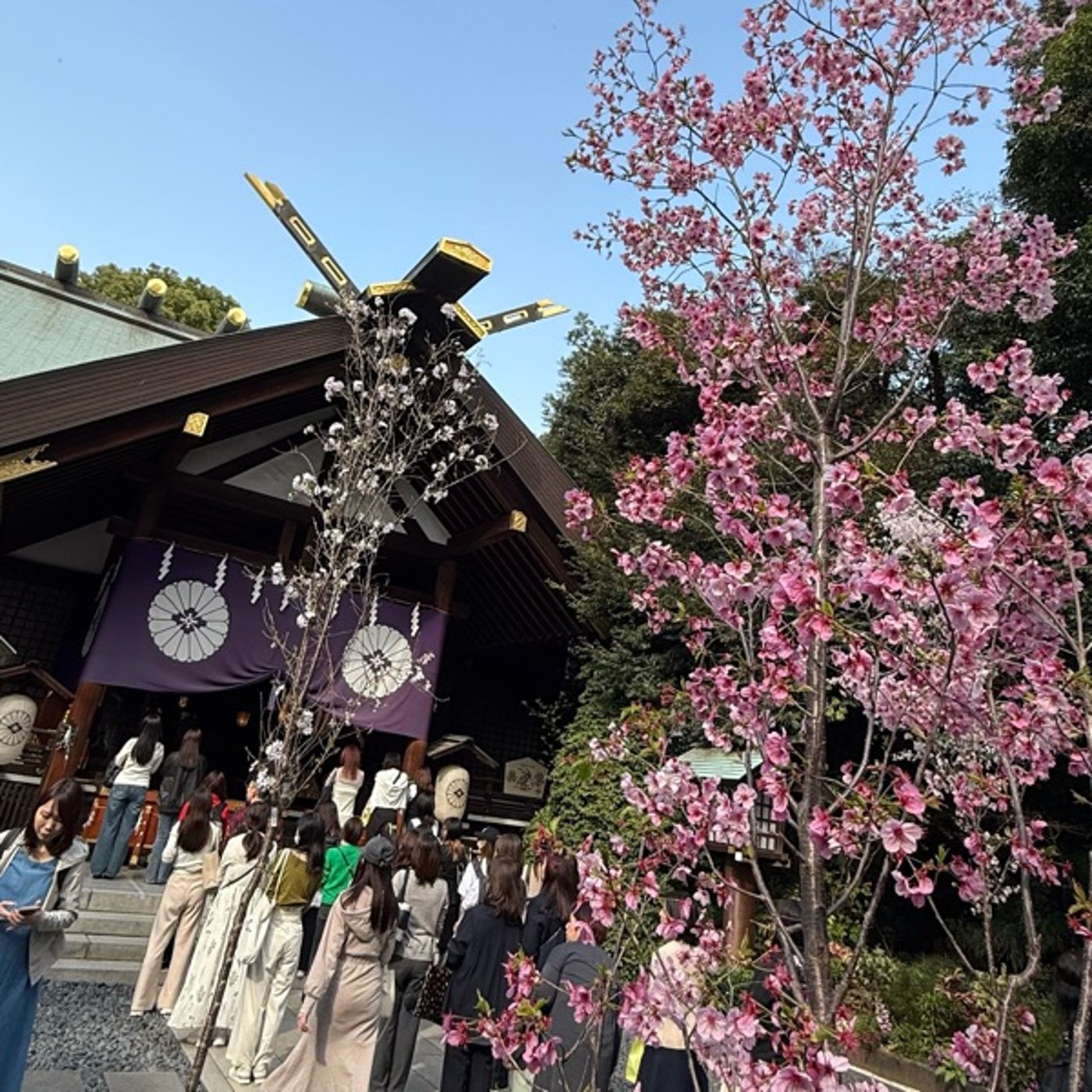 【第835回】東京大神宮来たよ^_^