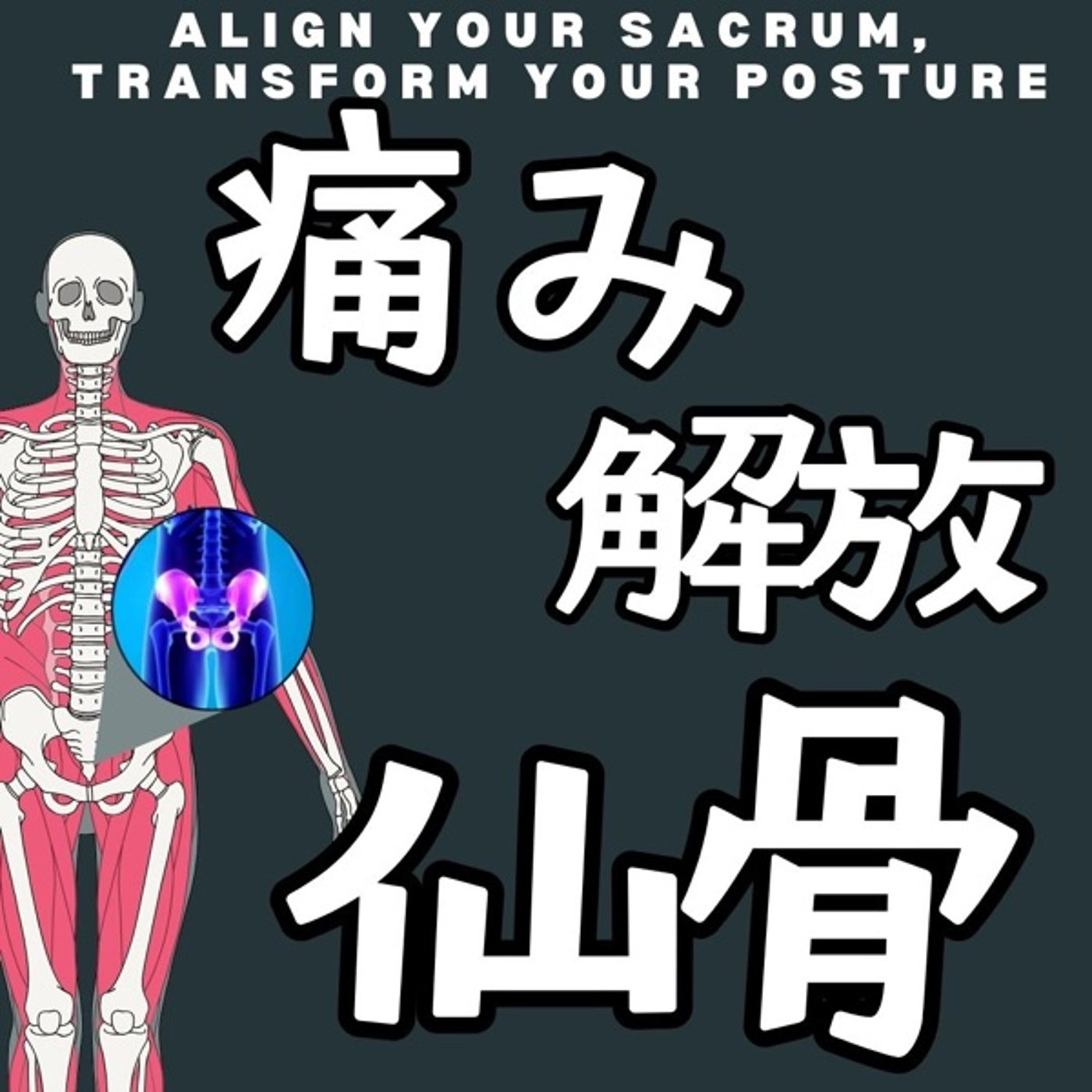 仙骨が整えば、身体が変わる！ episode artwork