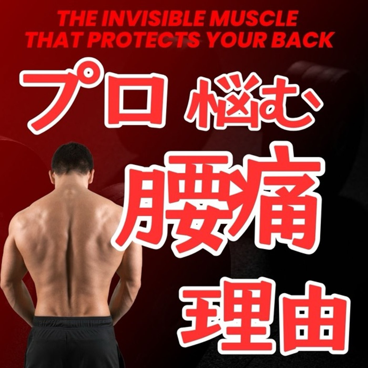 多裂筋アプローチで腰痛ゼロへ！プロが腰を痛める理由とは？ episode artwork