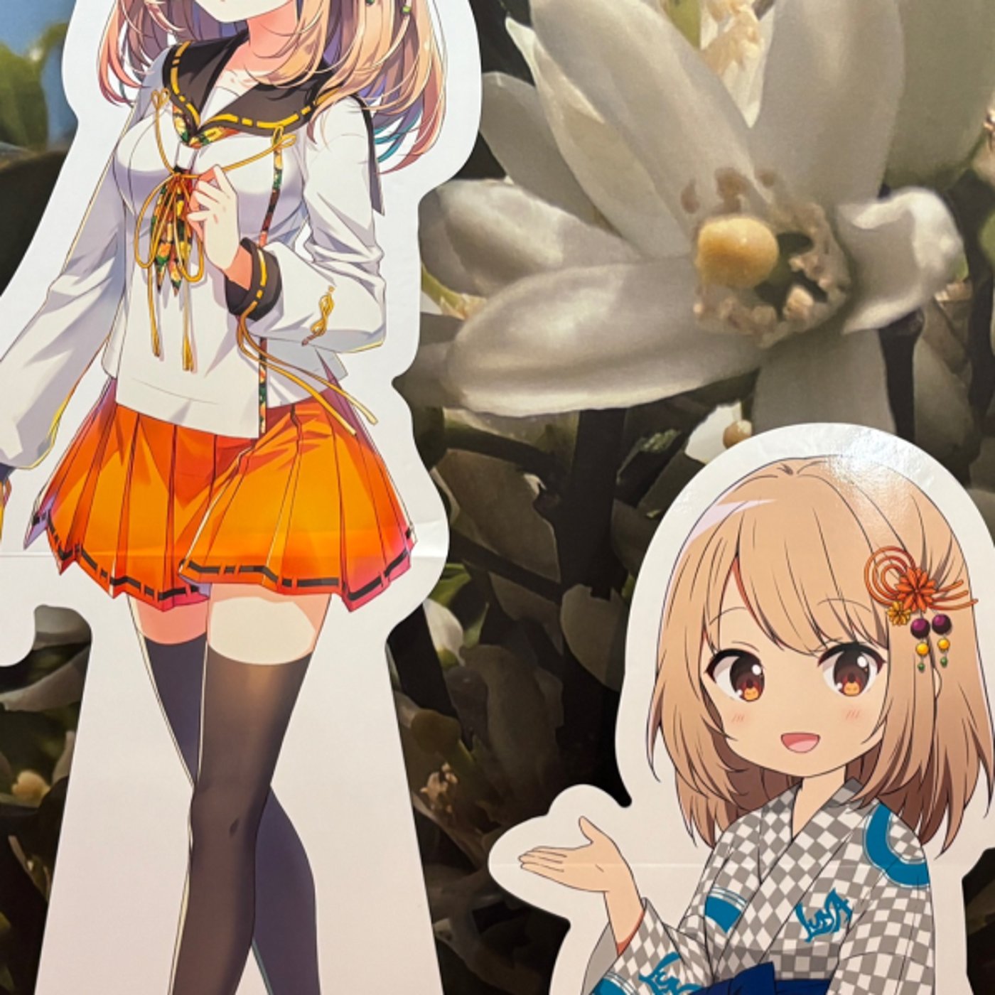 道後温泉さいこー！