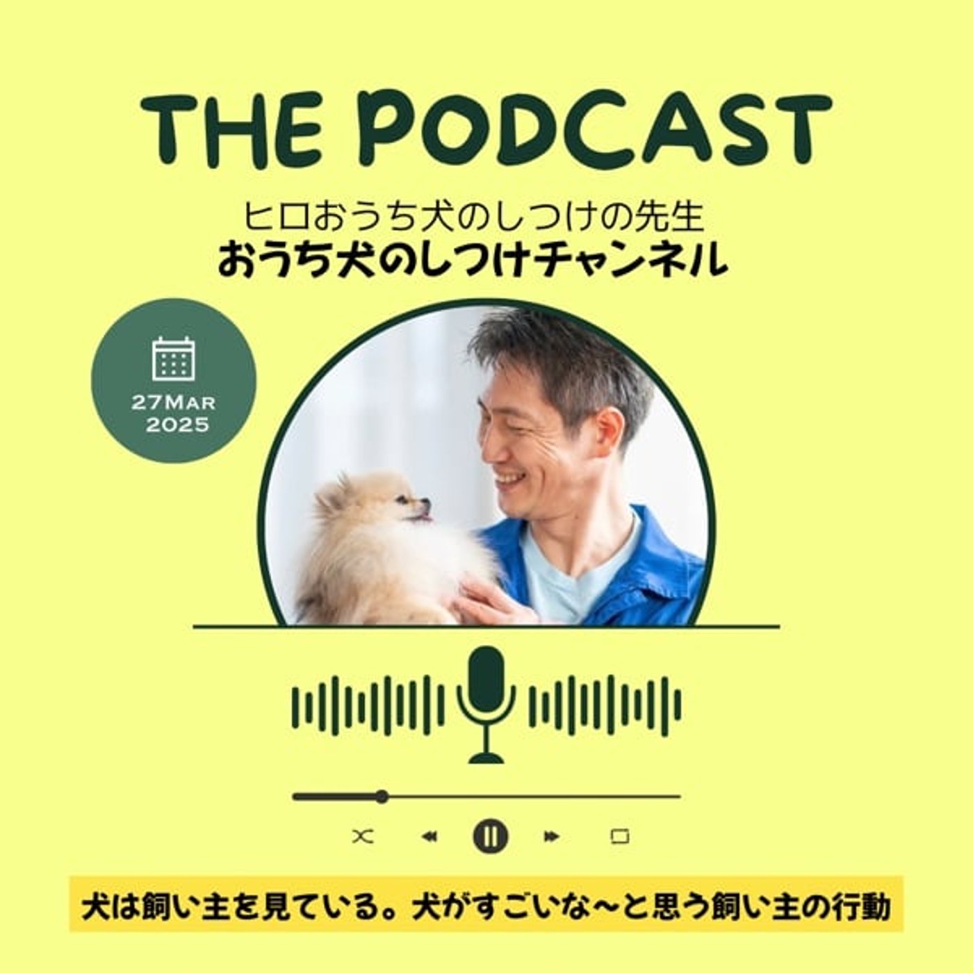 犬は飼い主を見ている。犬がすごいな〜と思う飼い主の行動