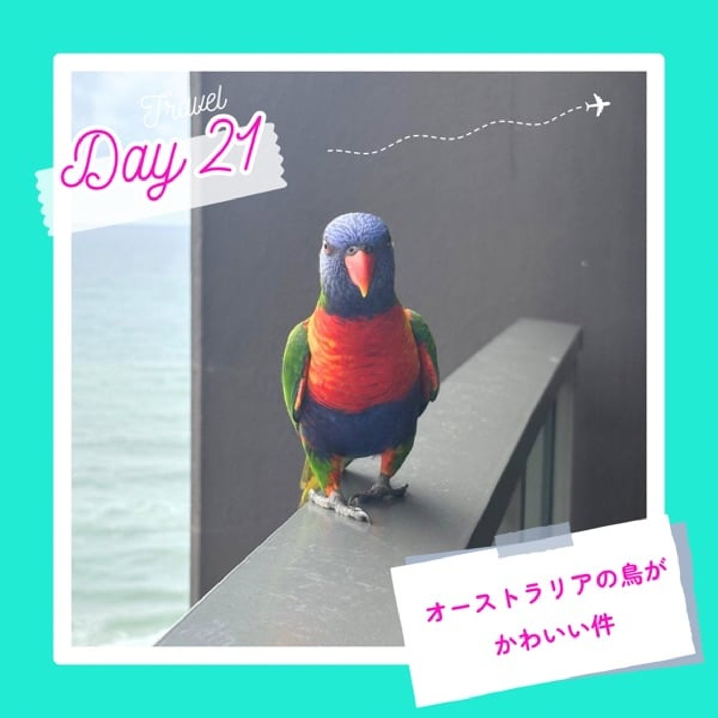 子連れMBA留学日記 in シドニー