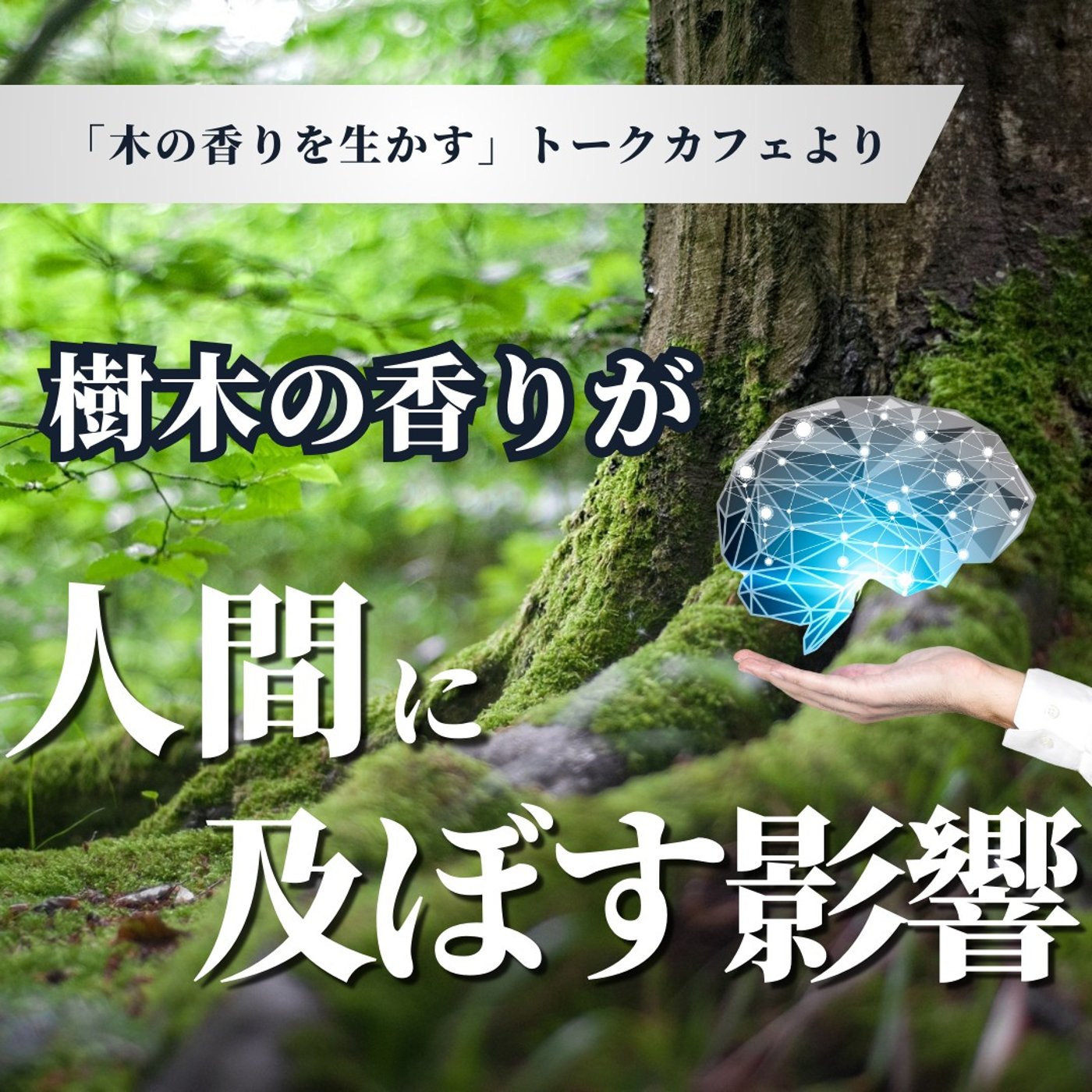 #403 樹木の香りが人間に及ぼす影響や活用法とは？