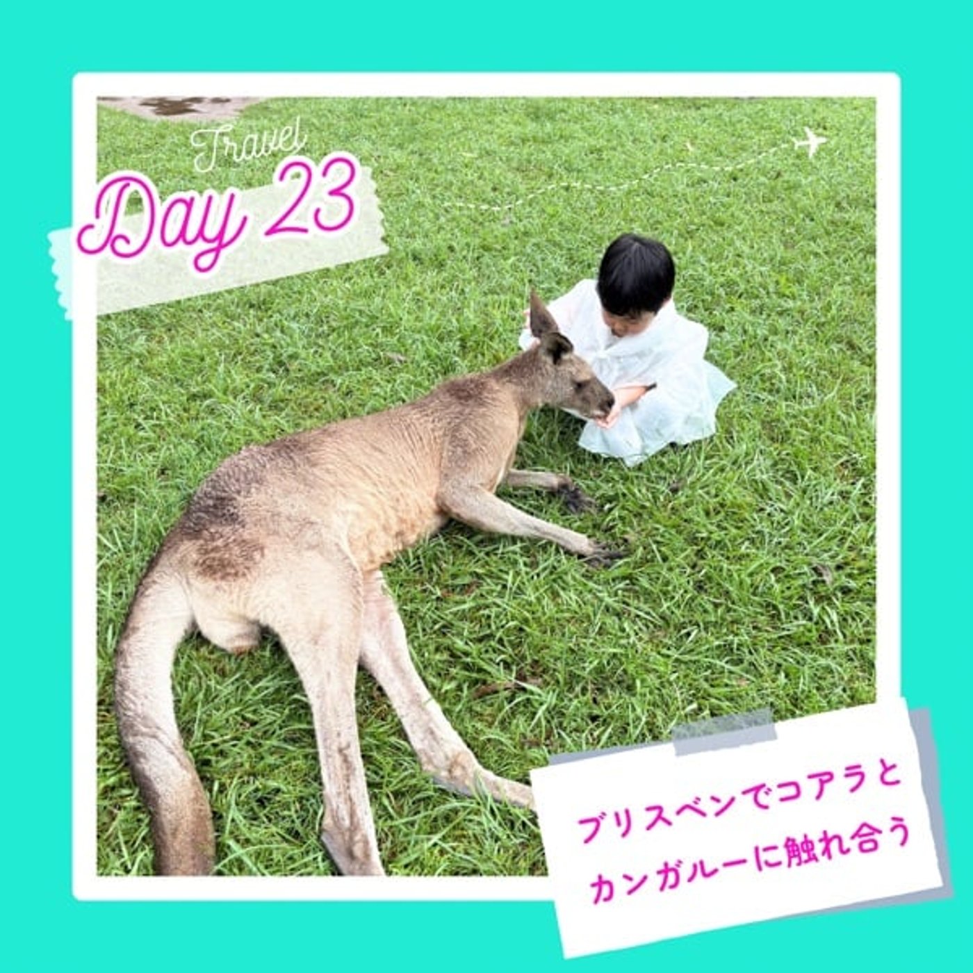 子連れMBA留学日記 in シドニー