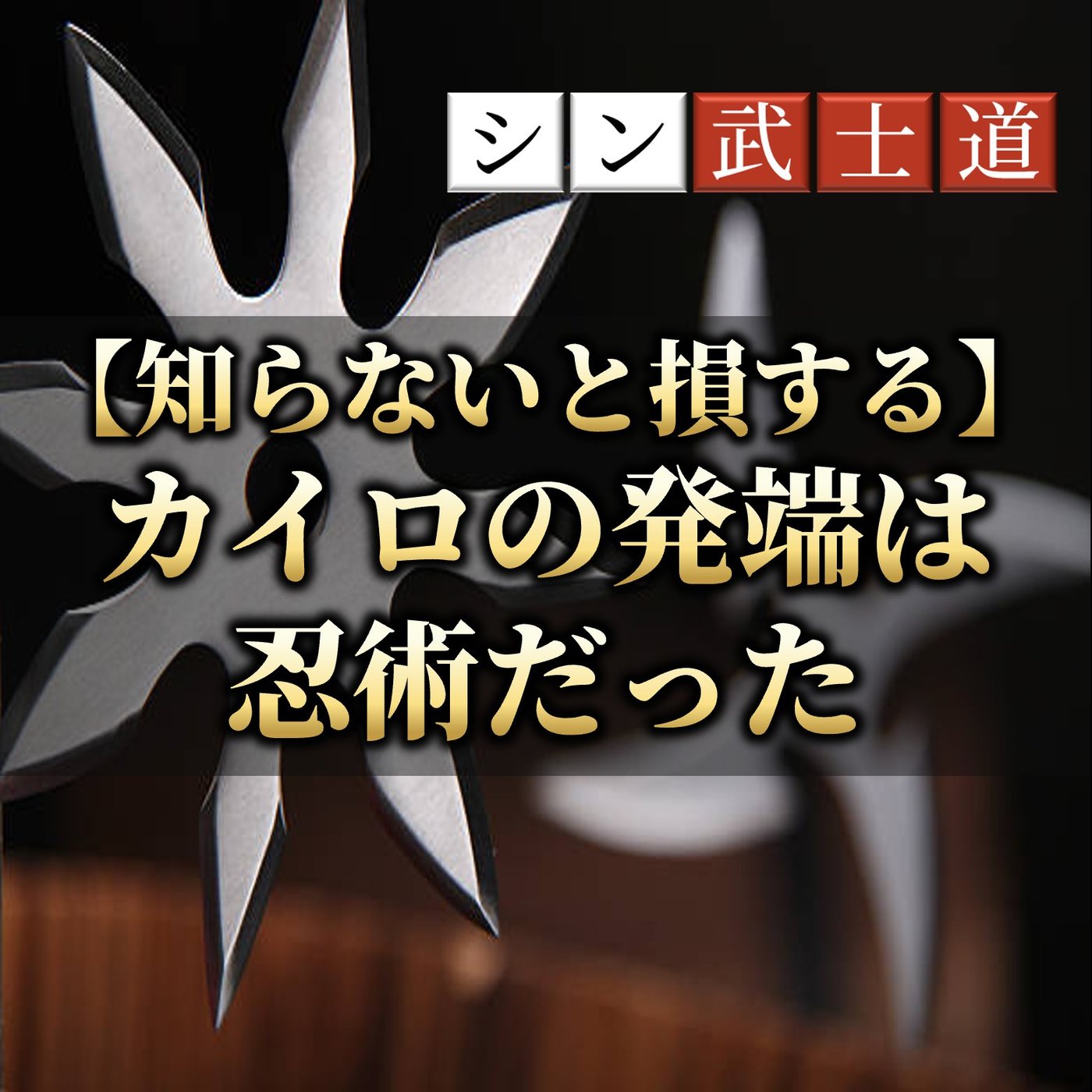 【知らないと損する】カイロの発端は忍術だった