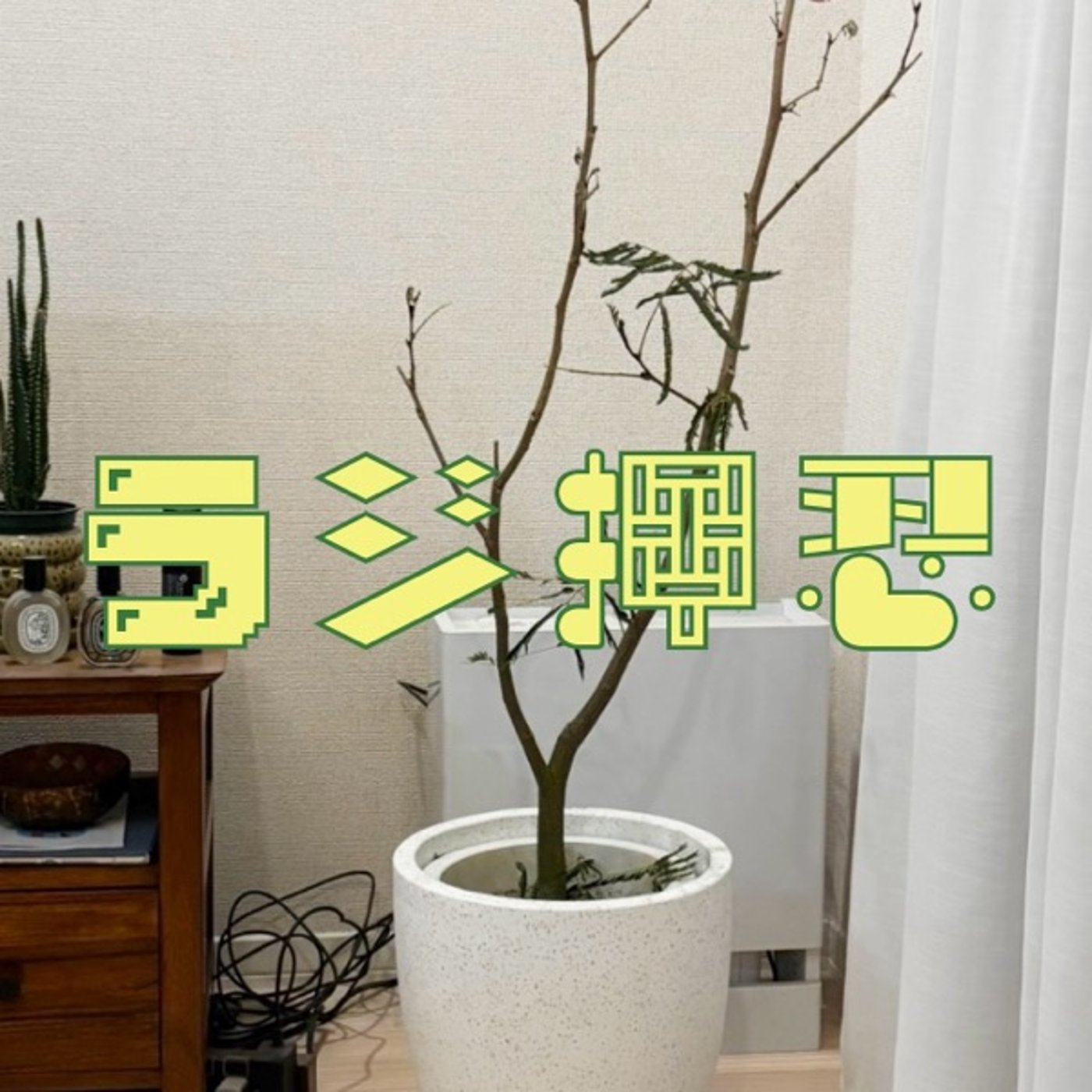 #20 「【蛙化象現】（現代版）/【恋愛一問一答】（愚問愚答）/枯れ木と給湯室」