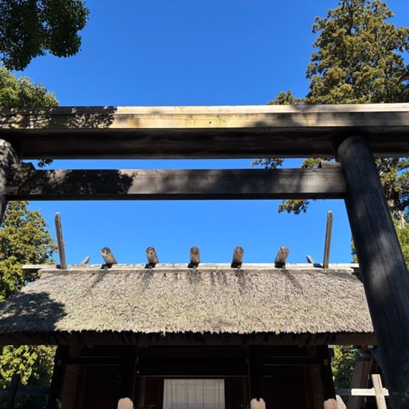 4月3日の神様からのメッセージ