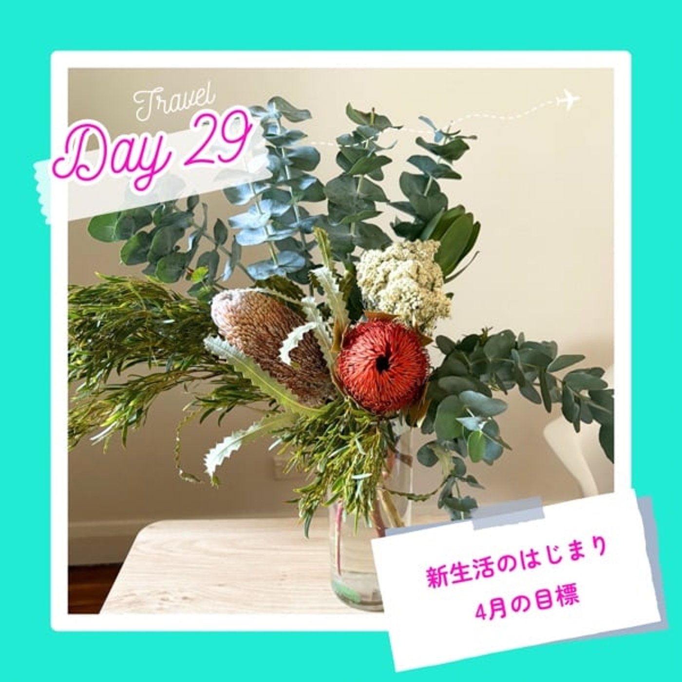 子連れMBA留学日記 in シドニー