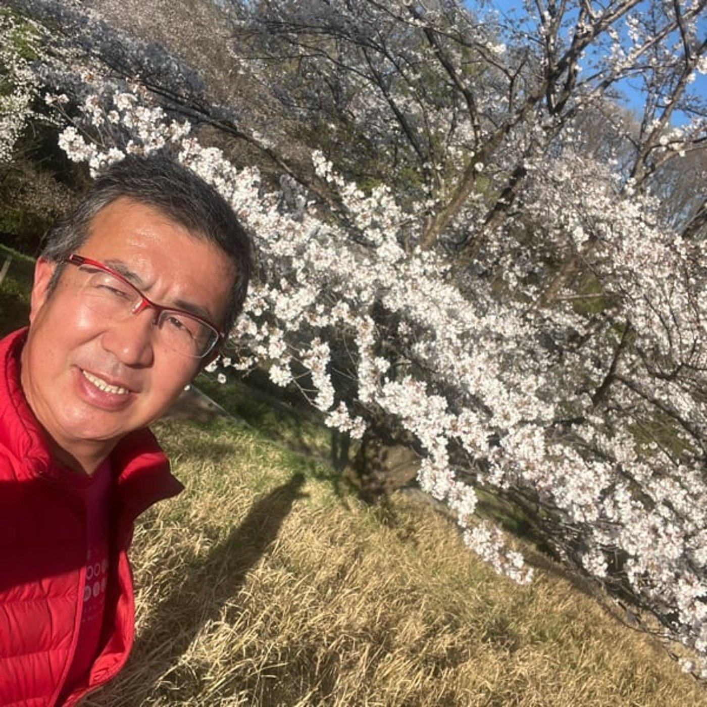 #348 裏の長沼公園の桜が満開 春ですね〜^ ^ episode artwork