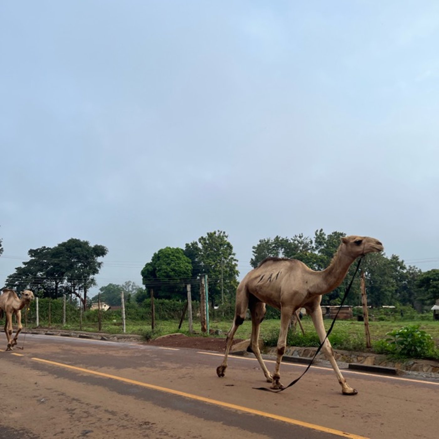 初めて活動っぽいことができた