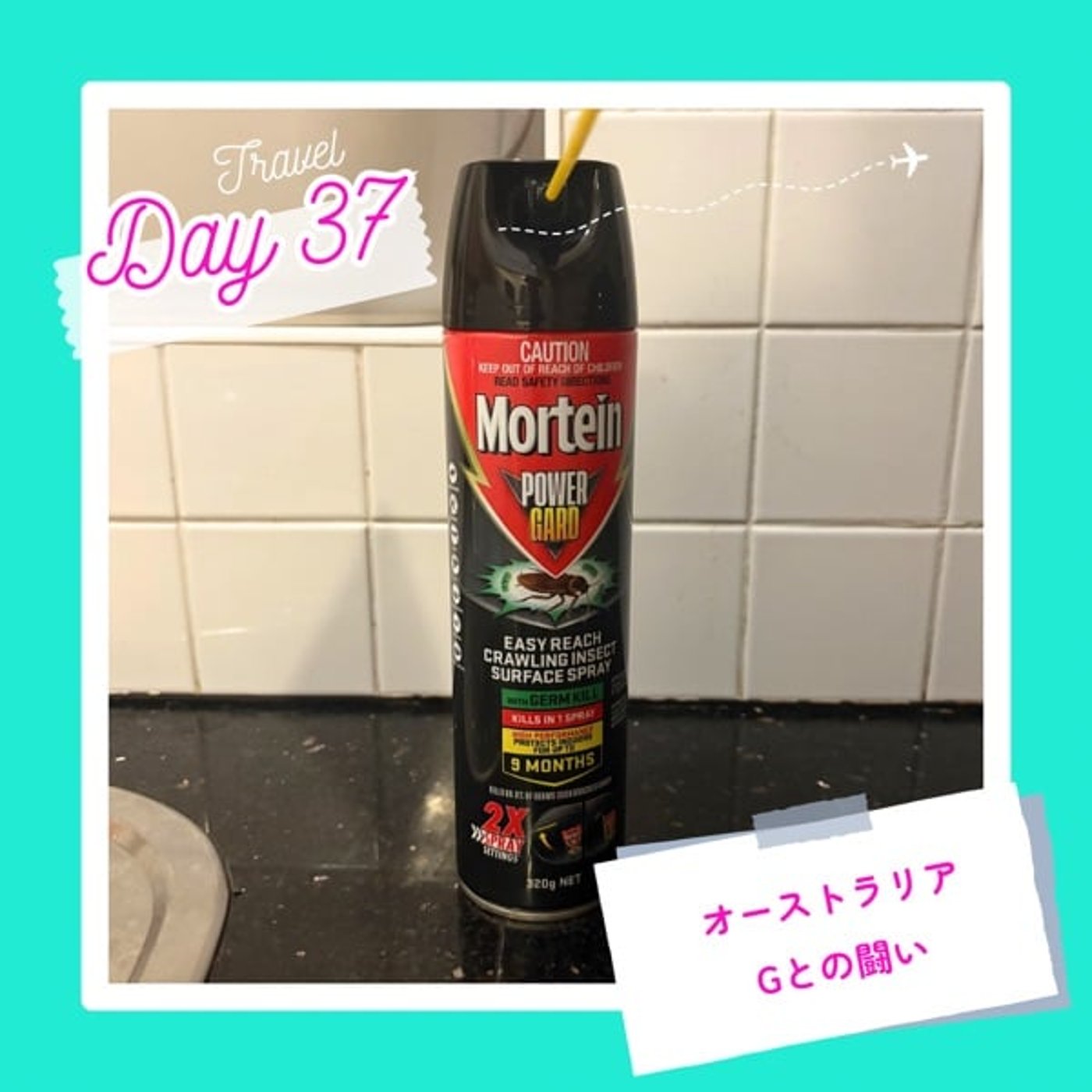 子連れMBA留学日記 in シドニー
