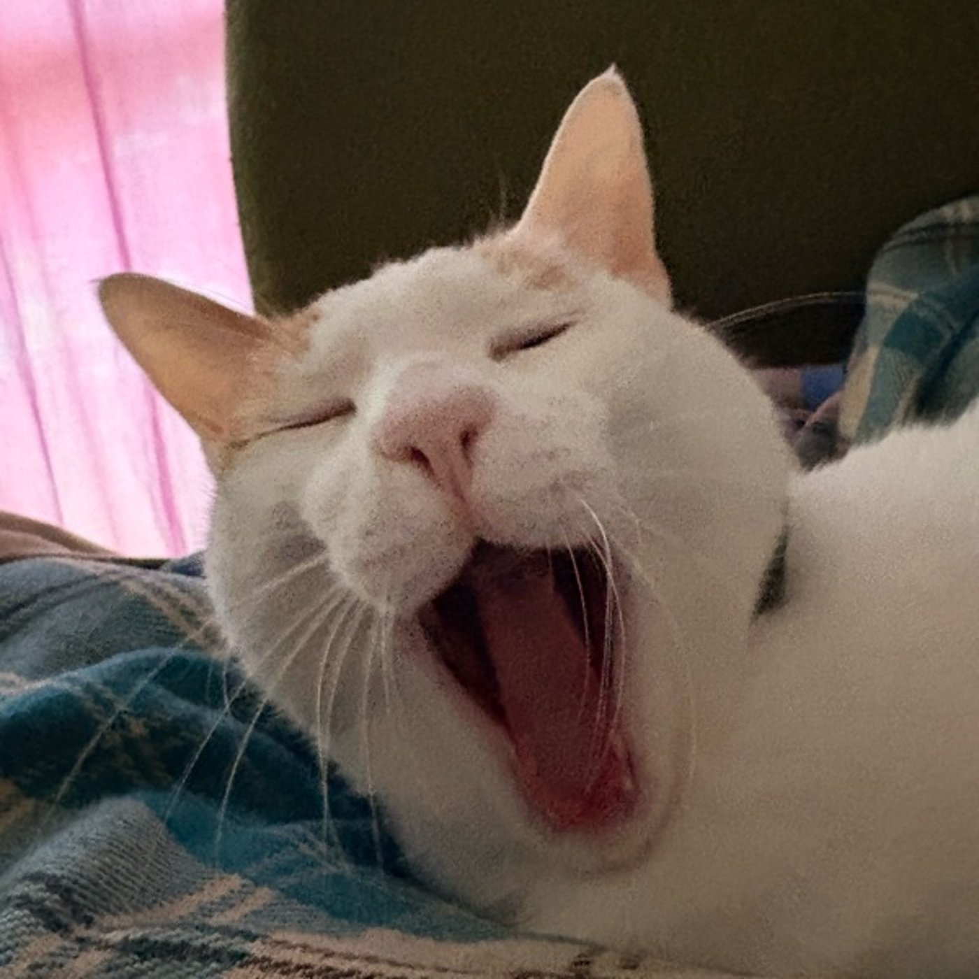 昨日のごっつい眠気は4/13の天秤座満月のせいなのか？チャート検証！