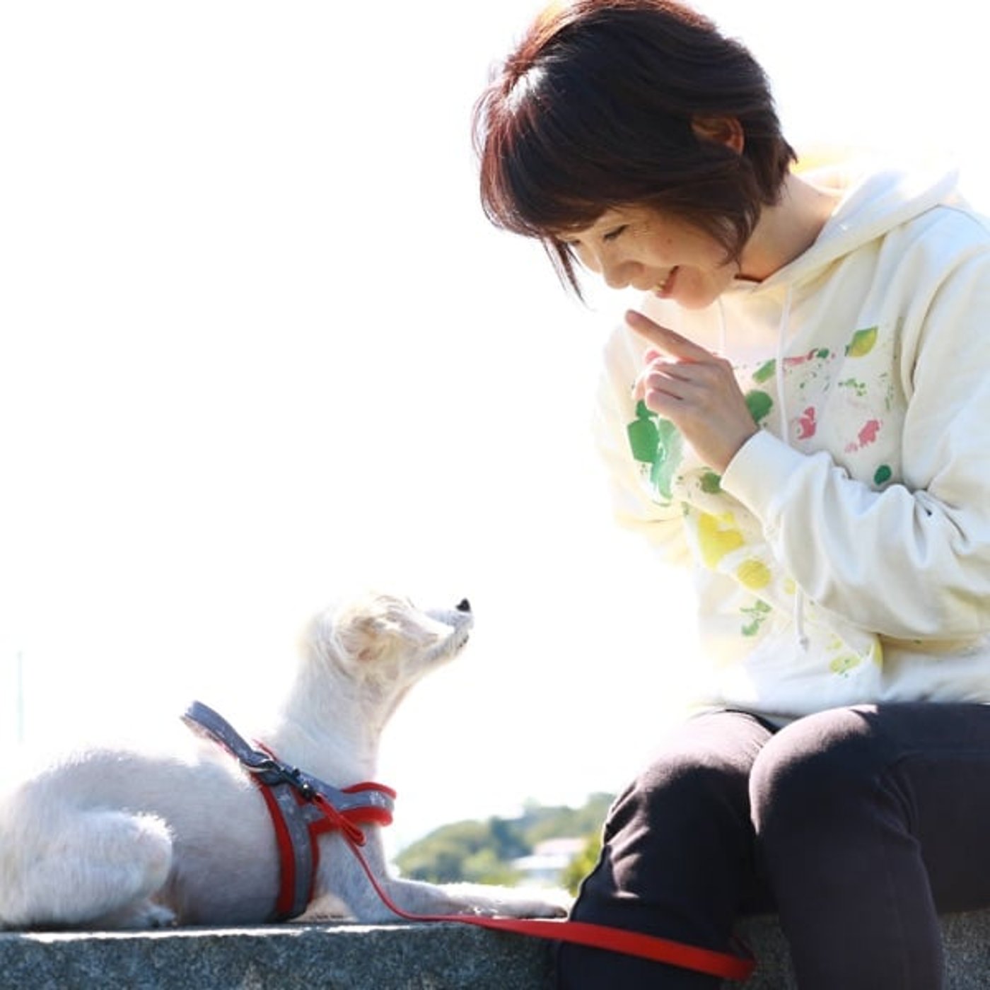 《犬》ドッグカフェで要求吠えする犬🐶💦どう対応したらいい❓【要求吠え編】