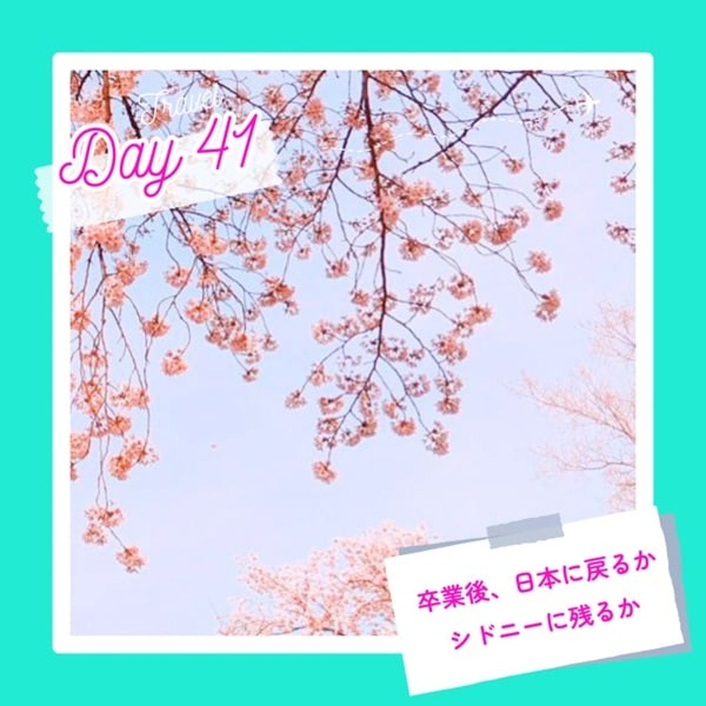 子連れMBA留学日記 in シドニー