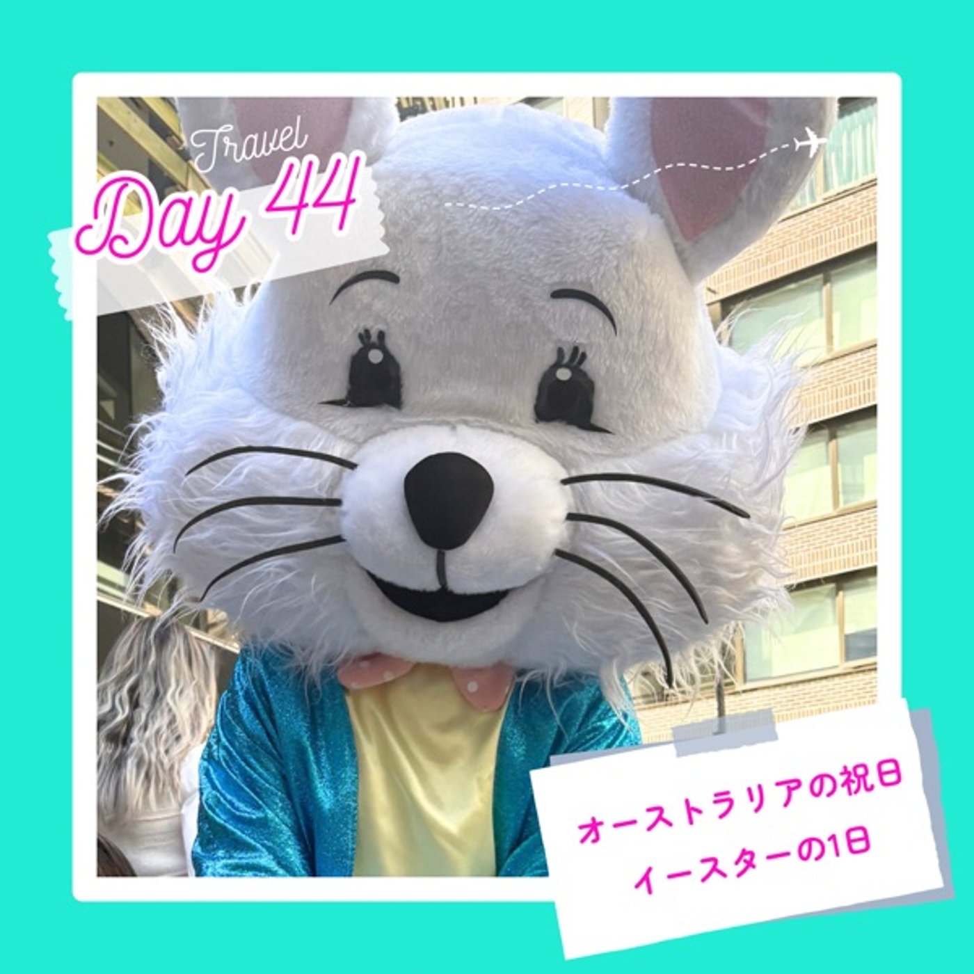 子連れMBA留学日記 in シドニー