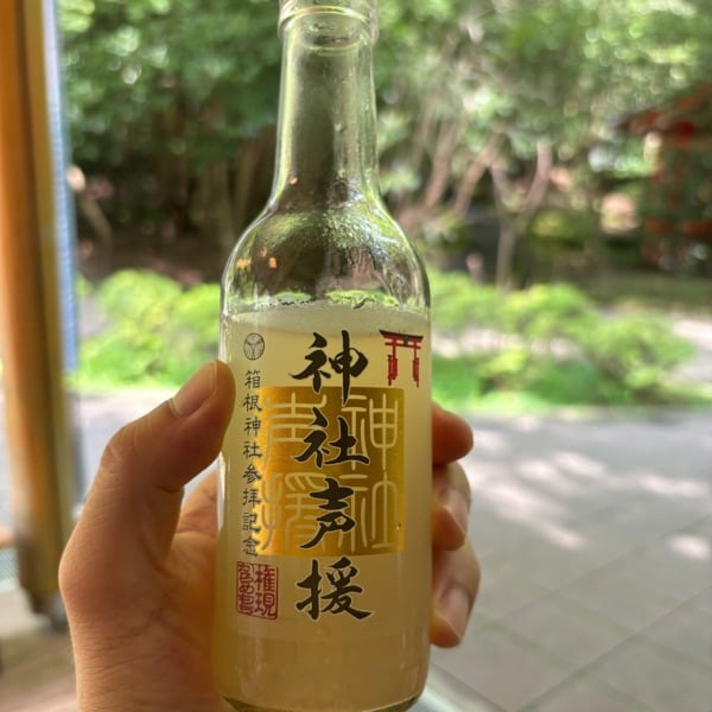 ジンジャエールの話