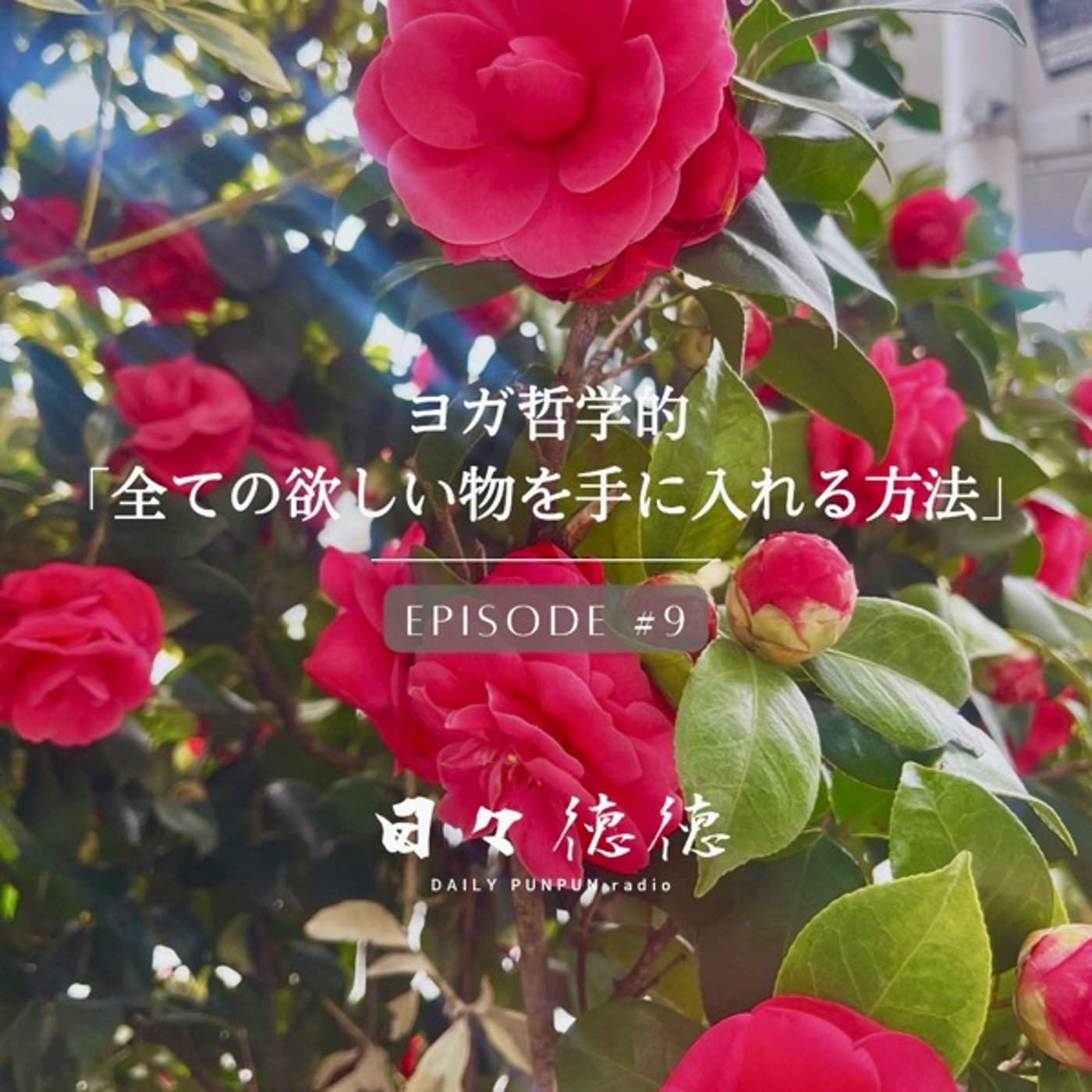 #9d 【不盗・アステーヤ】ヨガ哲学的「全ての欲しい物を手に入れる方法」 episode artwork