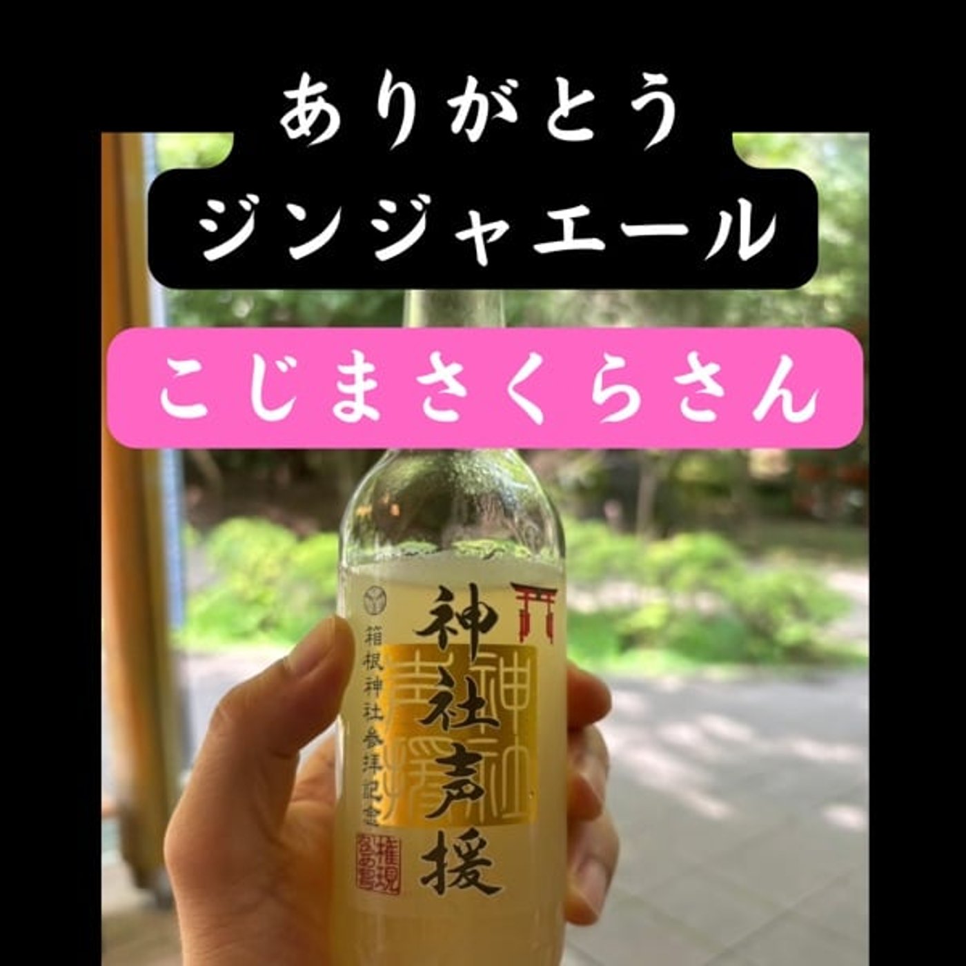 こじまさくらさん、ありがとうジンジャエール🙏