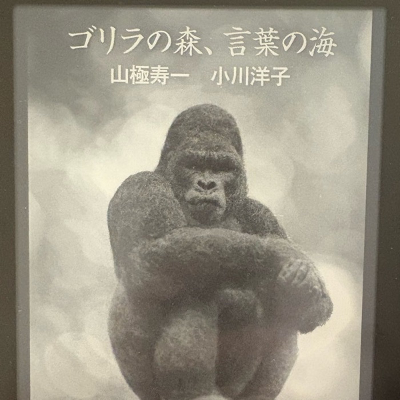 今週と今日の振り返り｜書籍を通して人類について考え、自分の生き方を見つめる episode artwork