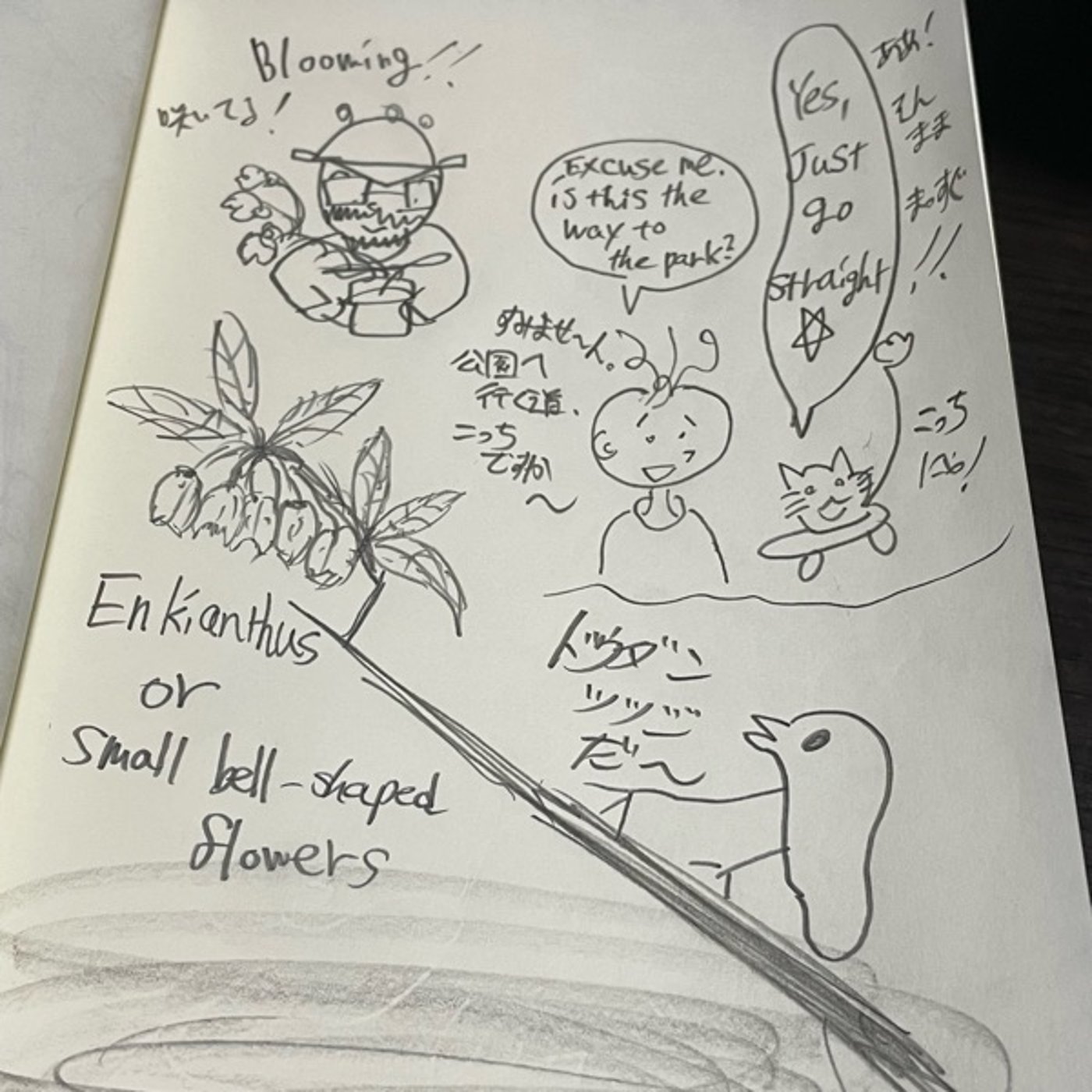 79🌱 ドウダンツツジ満開と、道をたずねる英会話 episode artwork